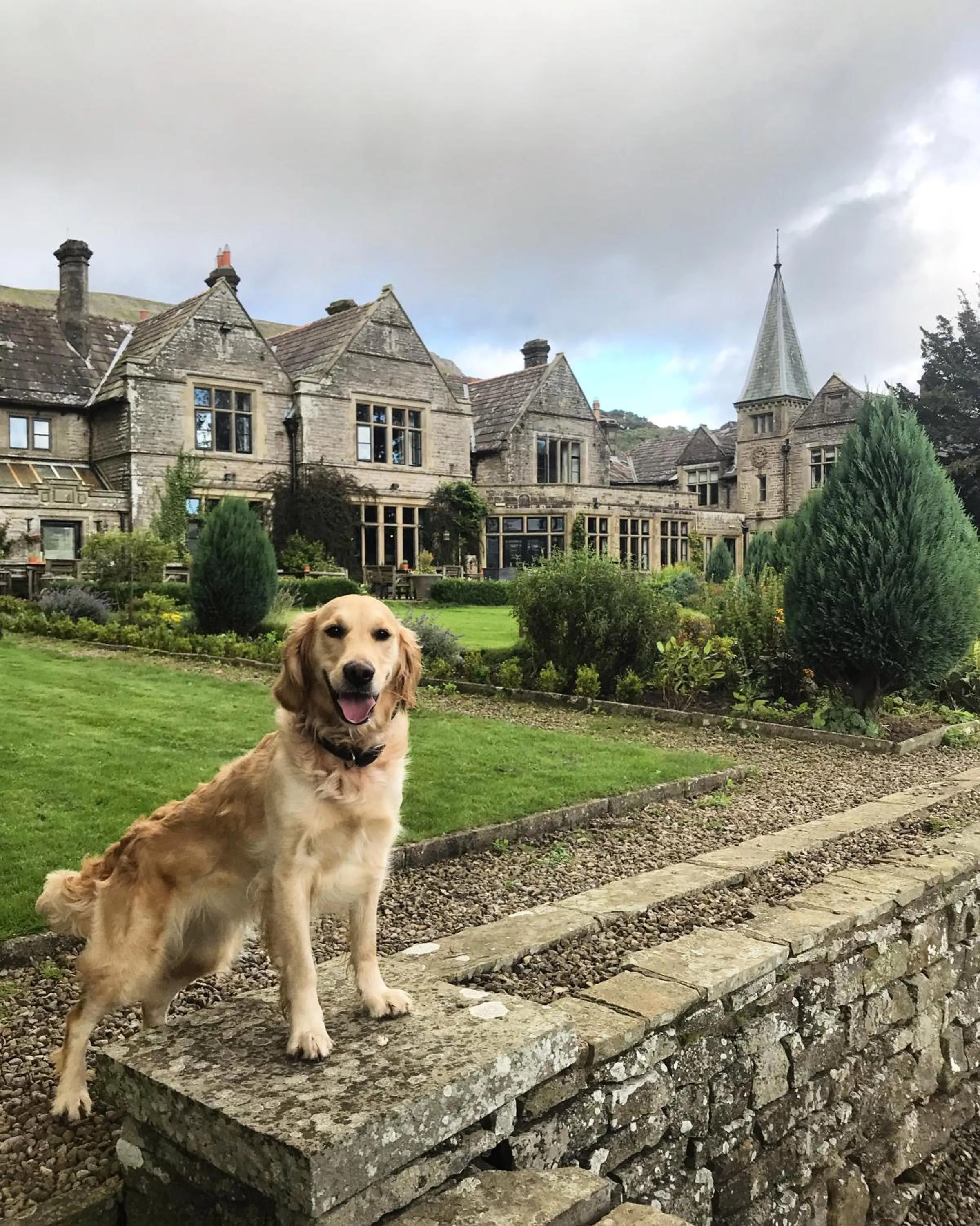 Pets in Simonstone Hall Hotel