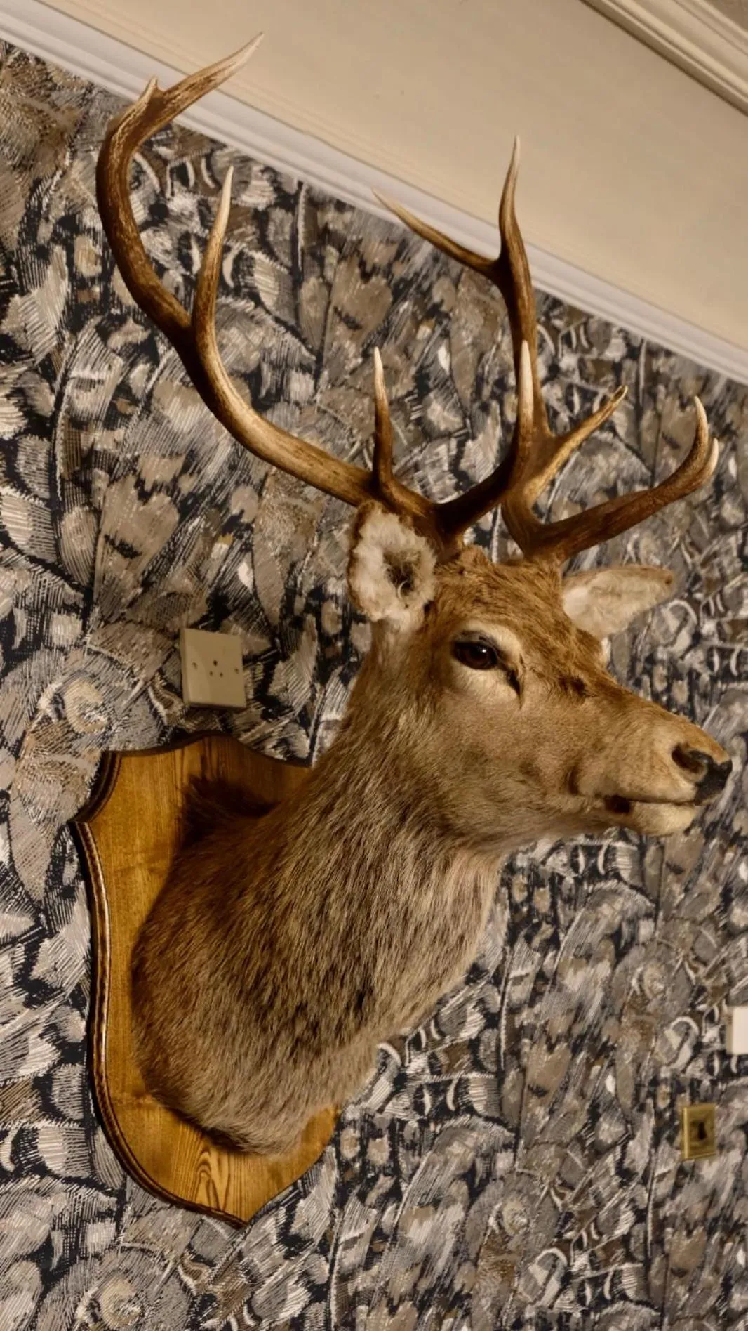Decorative detail in Simonstone Hall Hotel