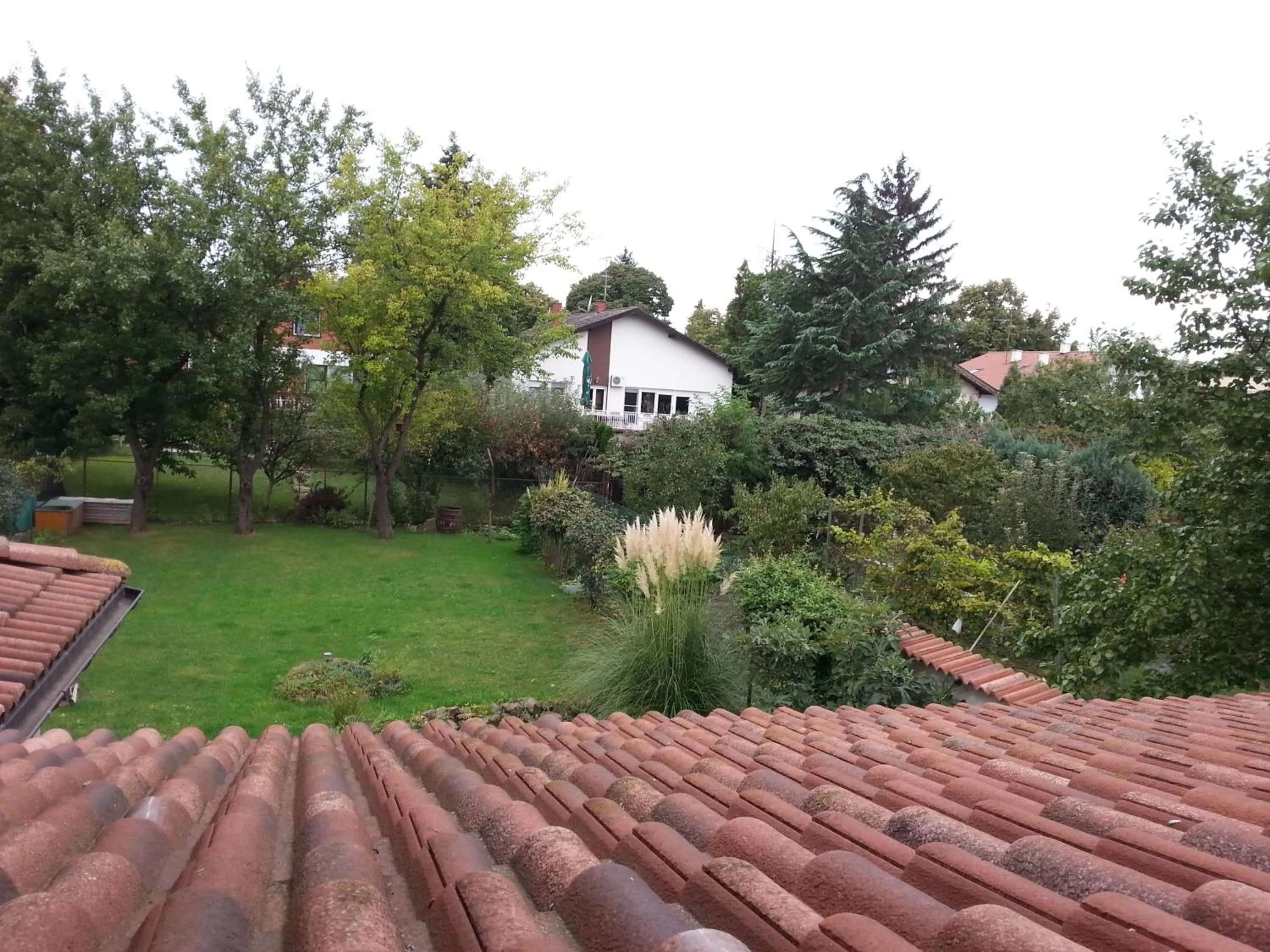 Garden view in Studio Apartments Korosteljev