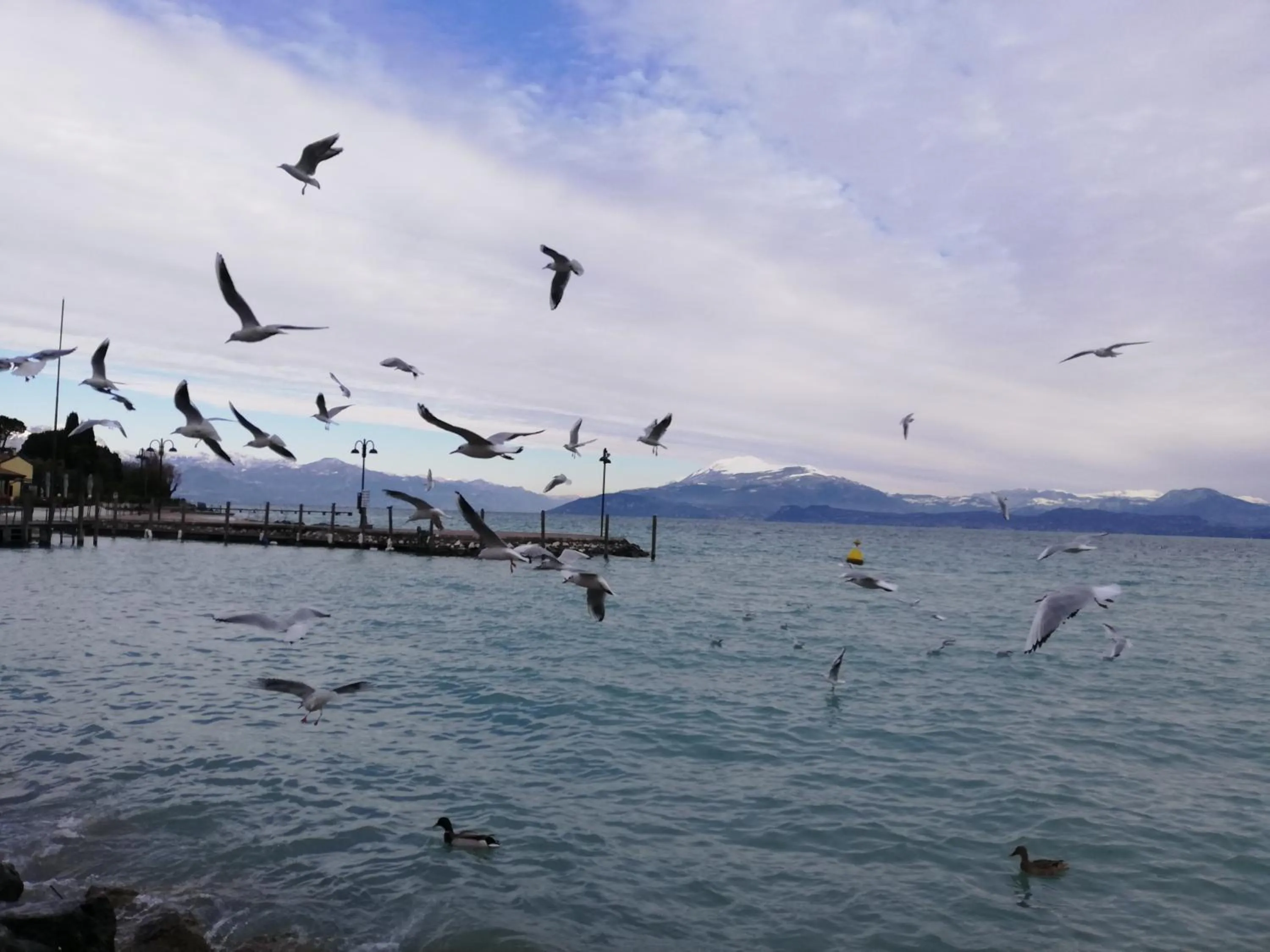 Lake view in B&B Rosalu - Adults Only