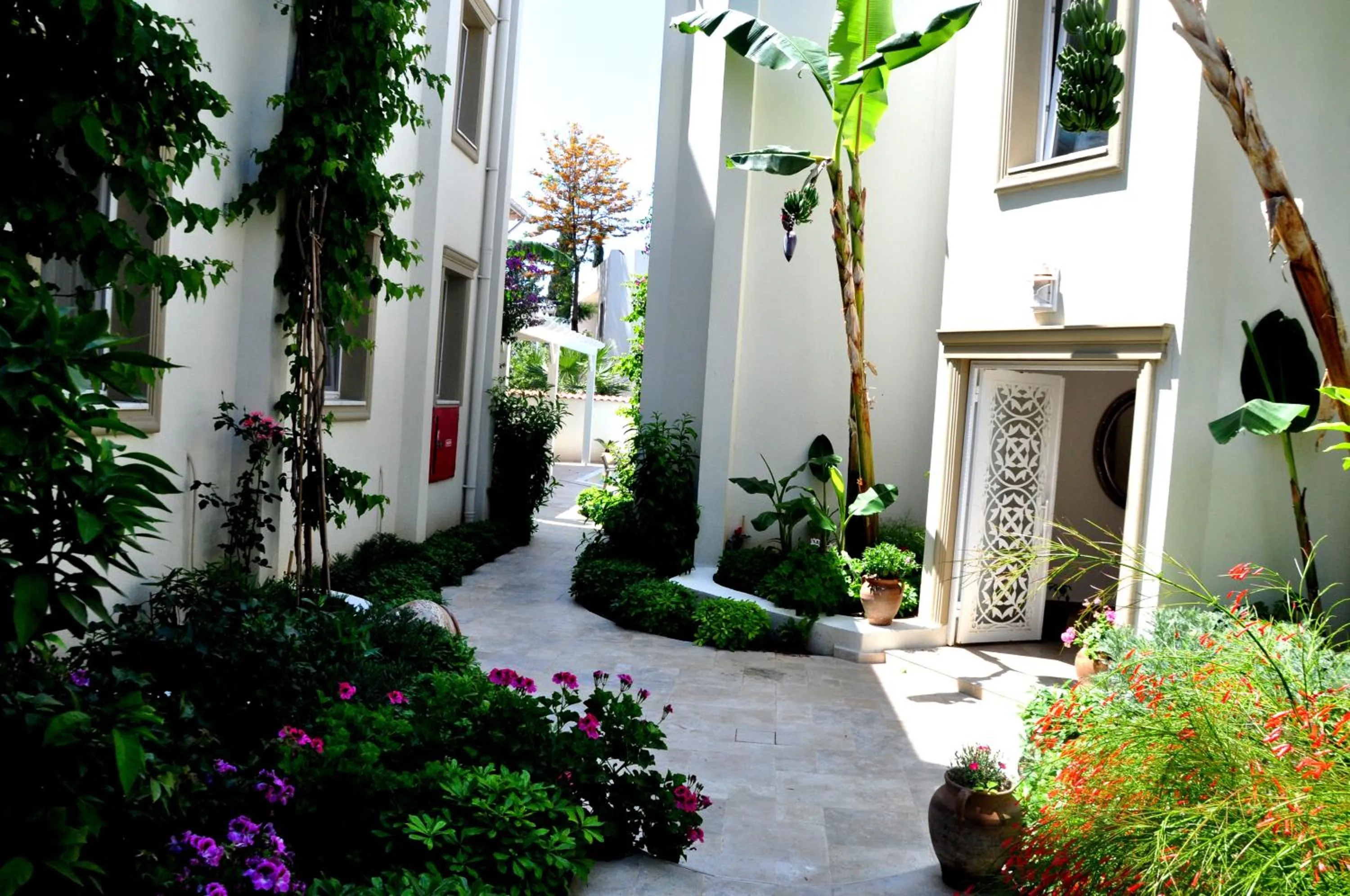 Property building in Olivias Group Hotel