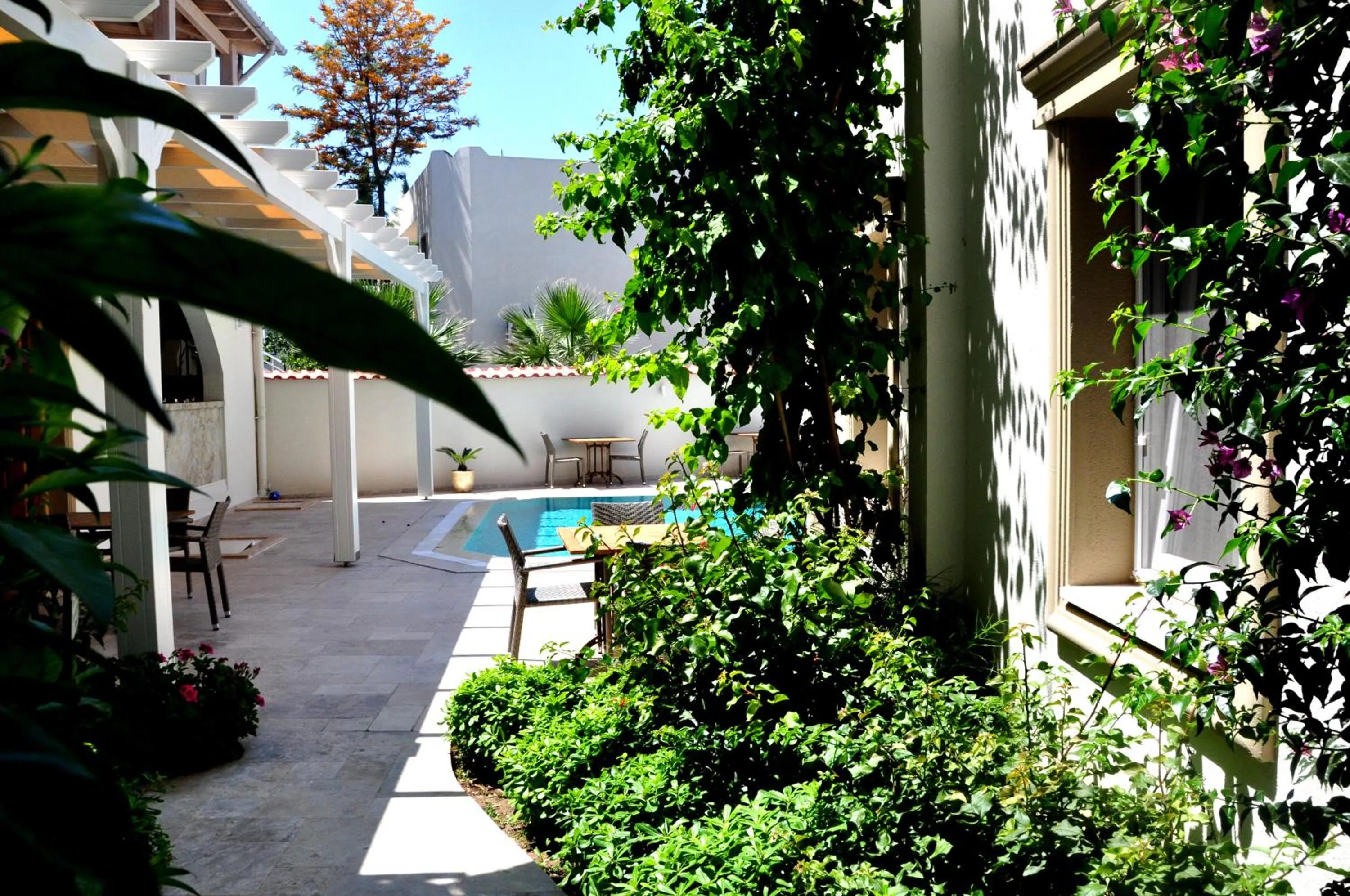 Spring in Olivias Group Hotel