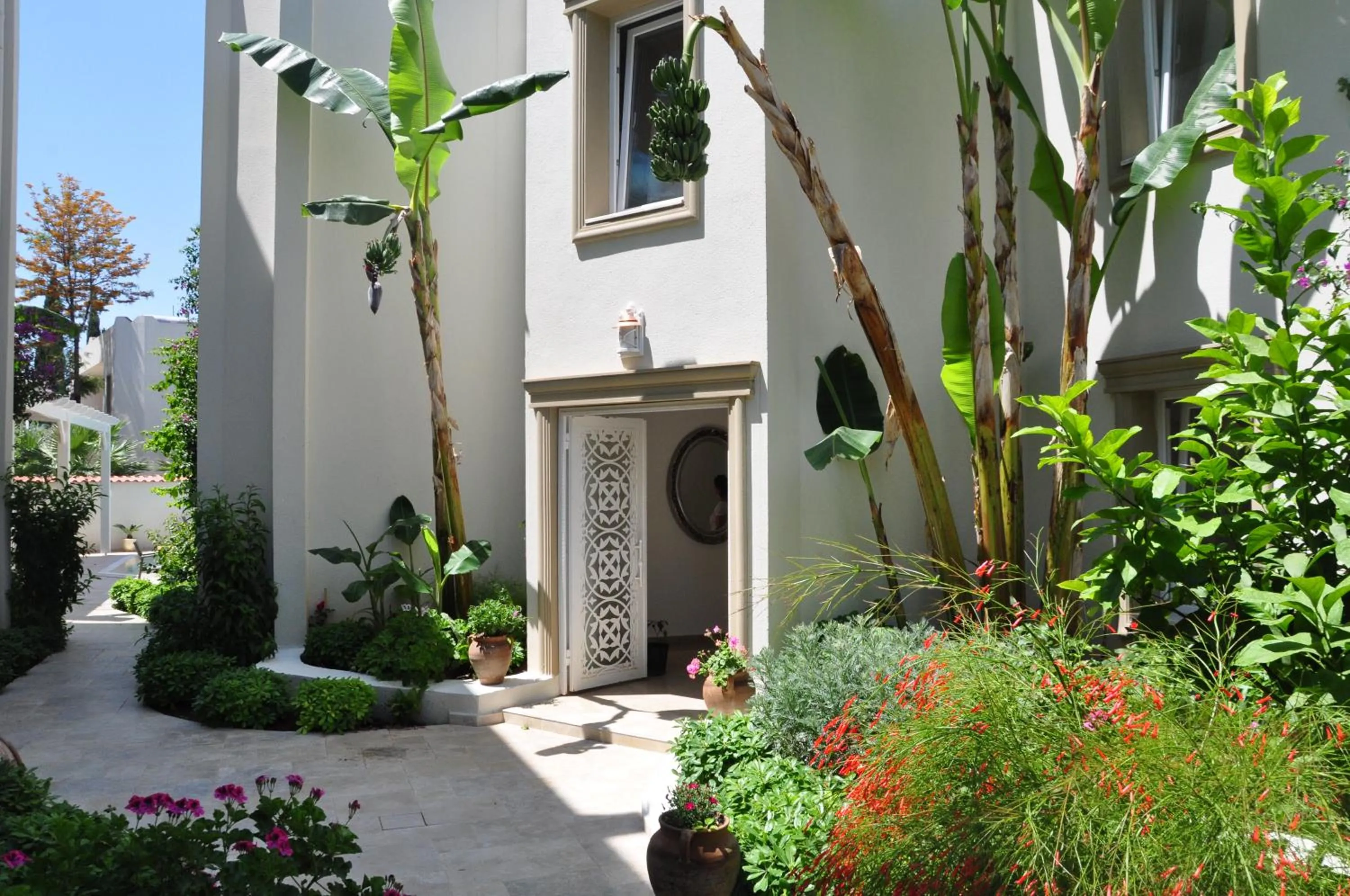 Property building in Olivias Group Hotel