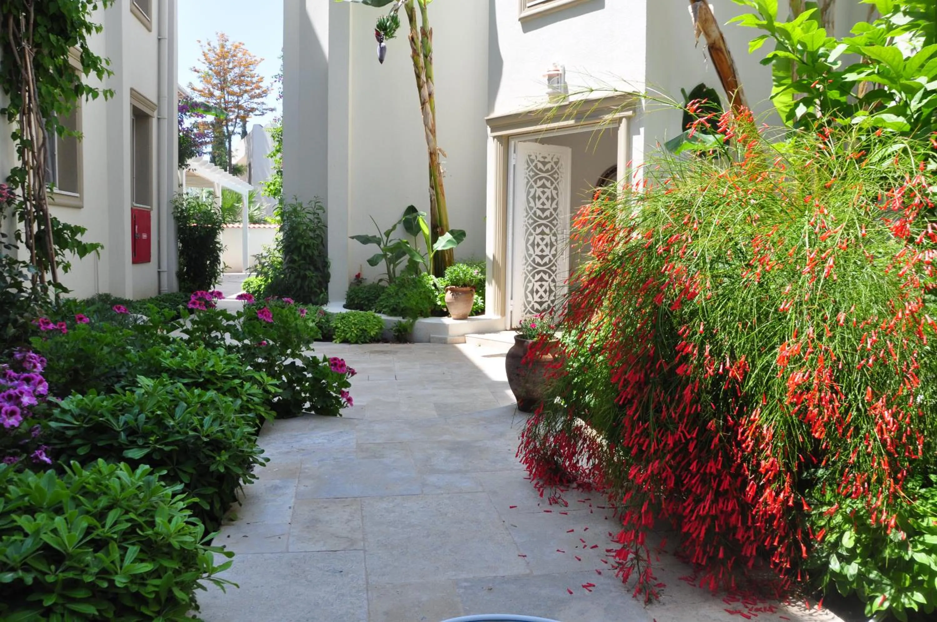 Spring in Olivias Group Hotel