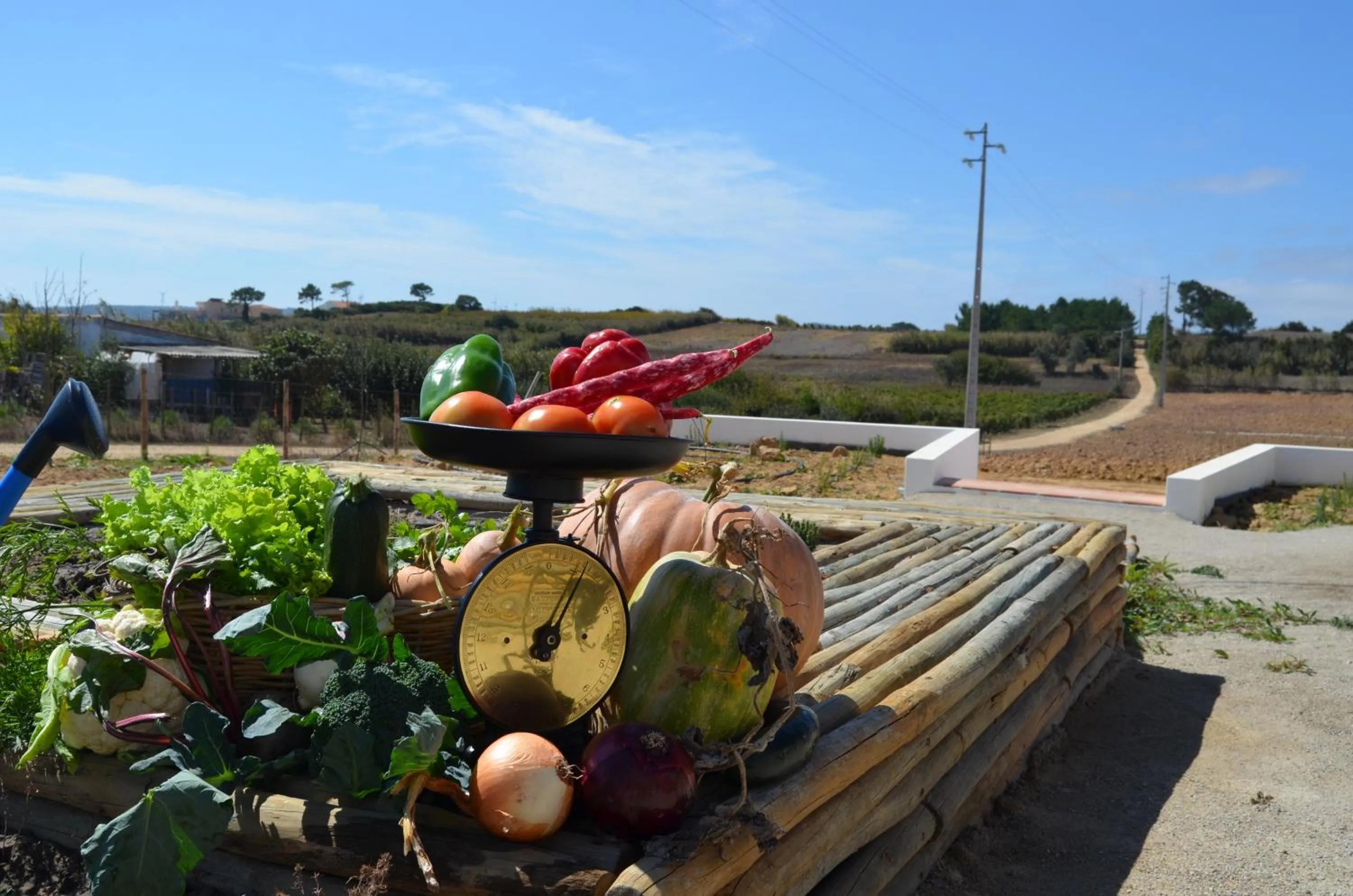 Day in Entre Vinhas & Mar