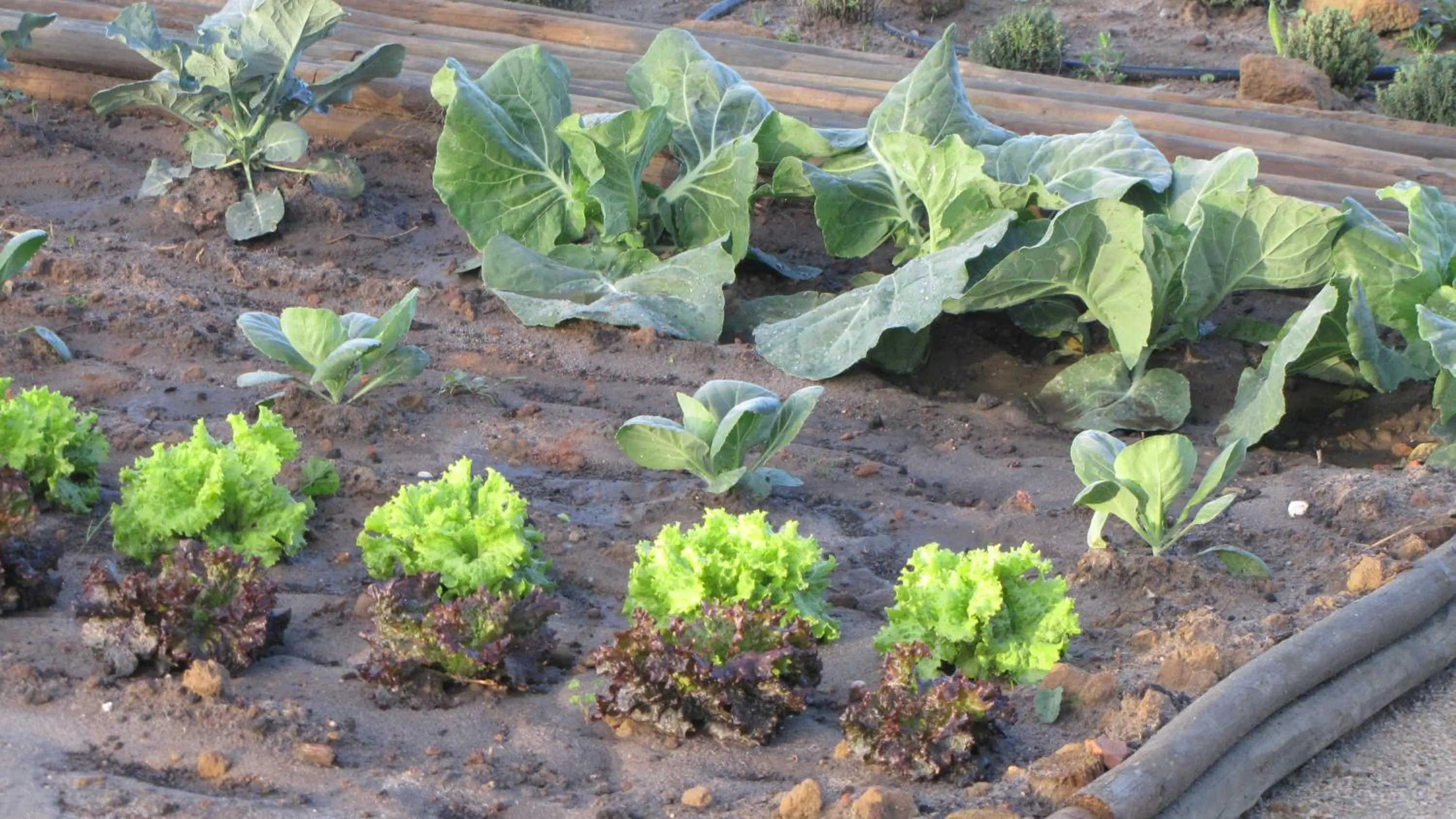 Other in Entre Vinhas & Mar