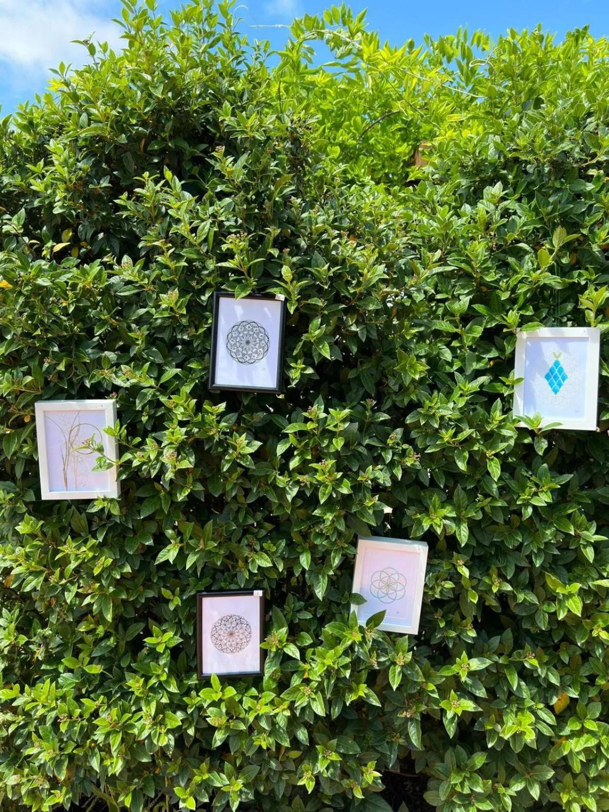 Natural landscape in Entre Vinhas & Mar