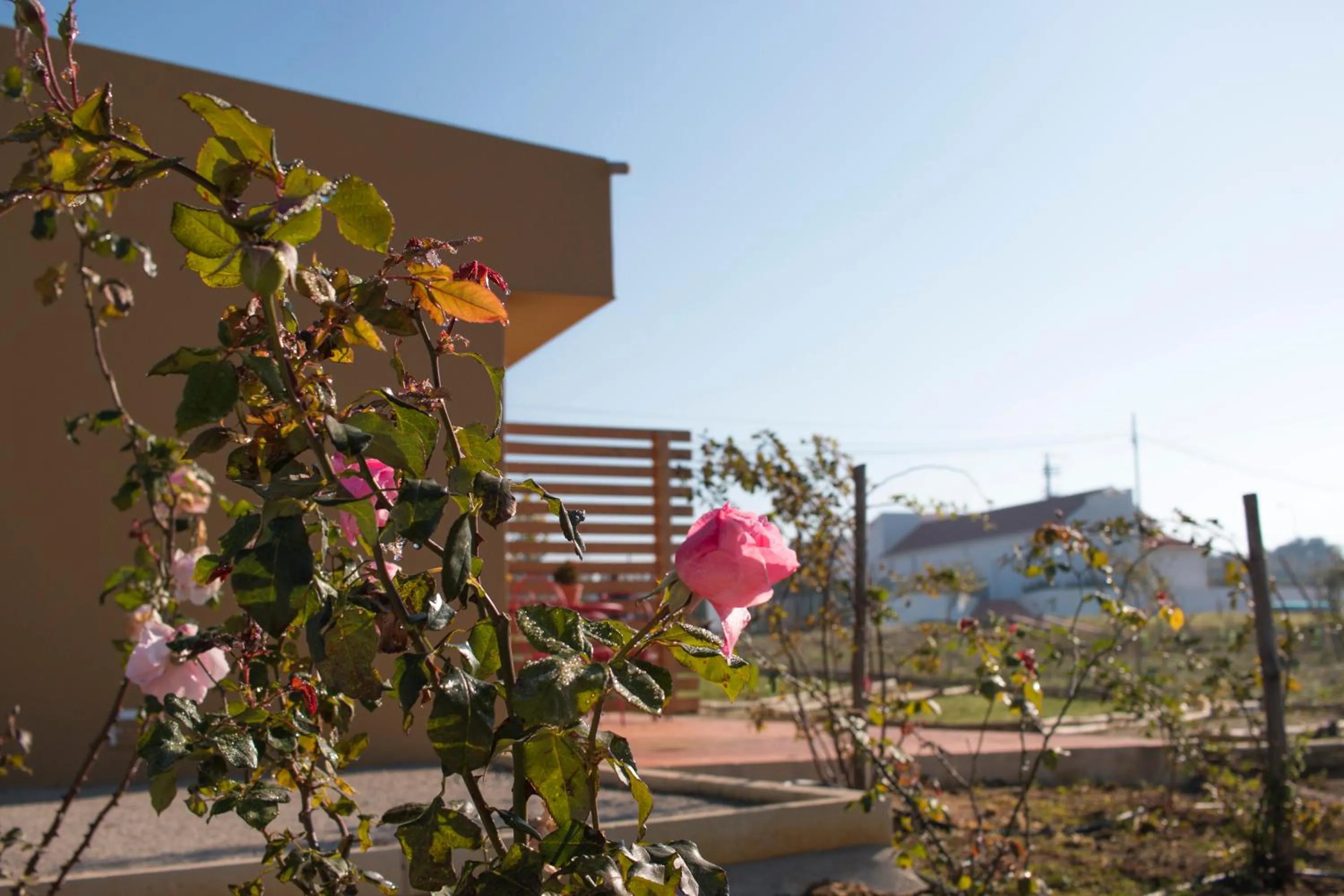 Spring in Entre Vinhas & Mar