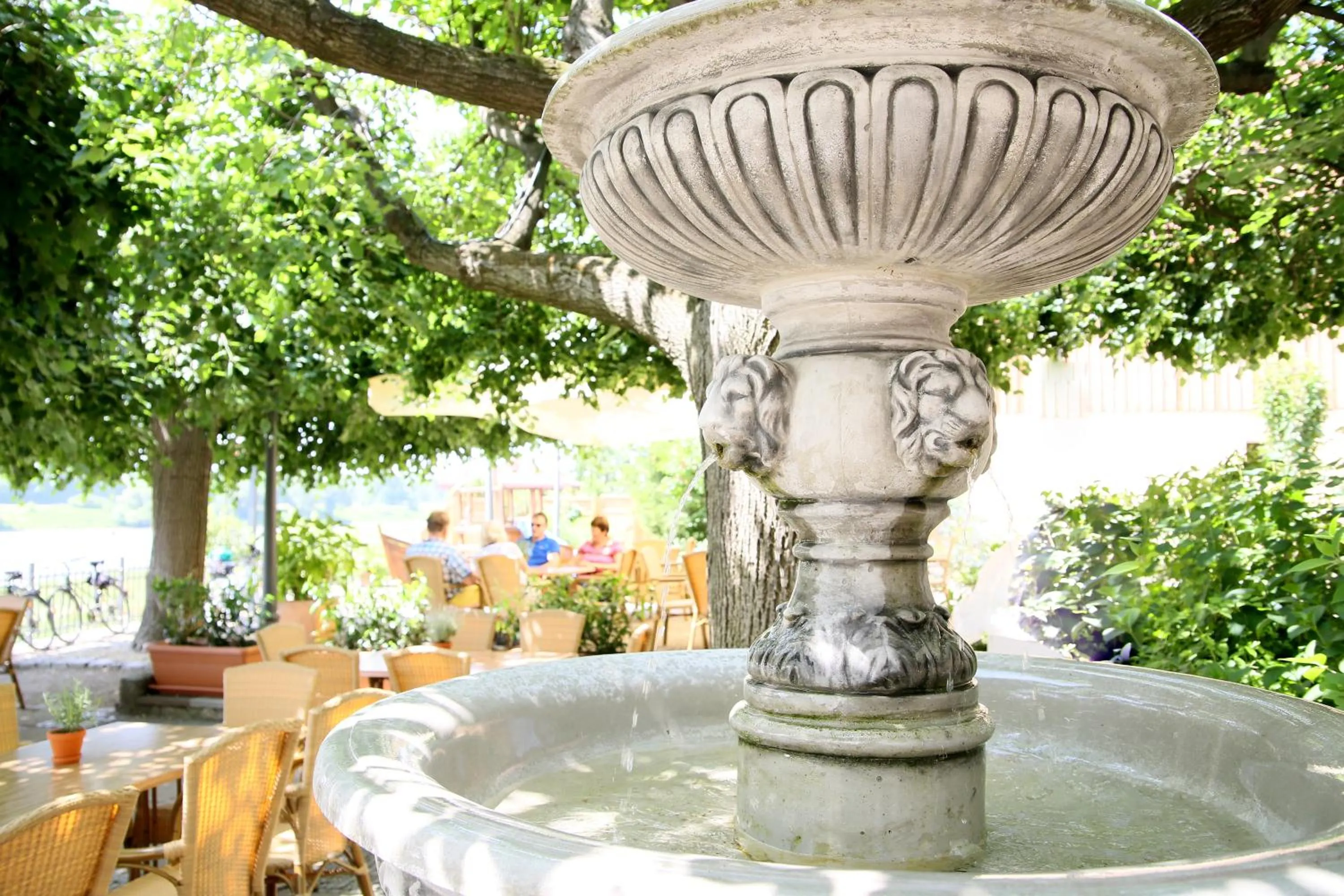Garden in Elbterrasse Wachwitz