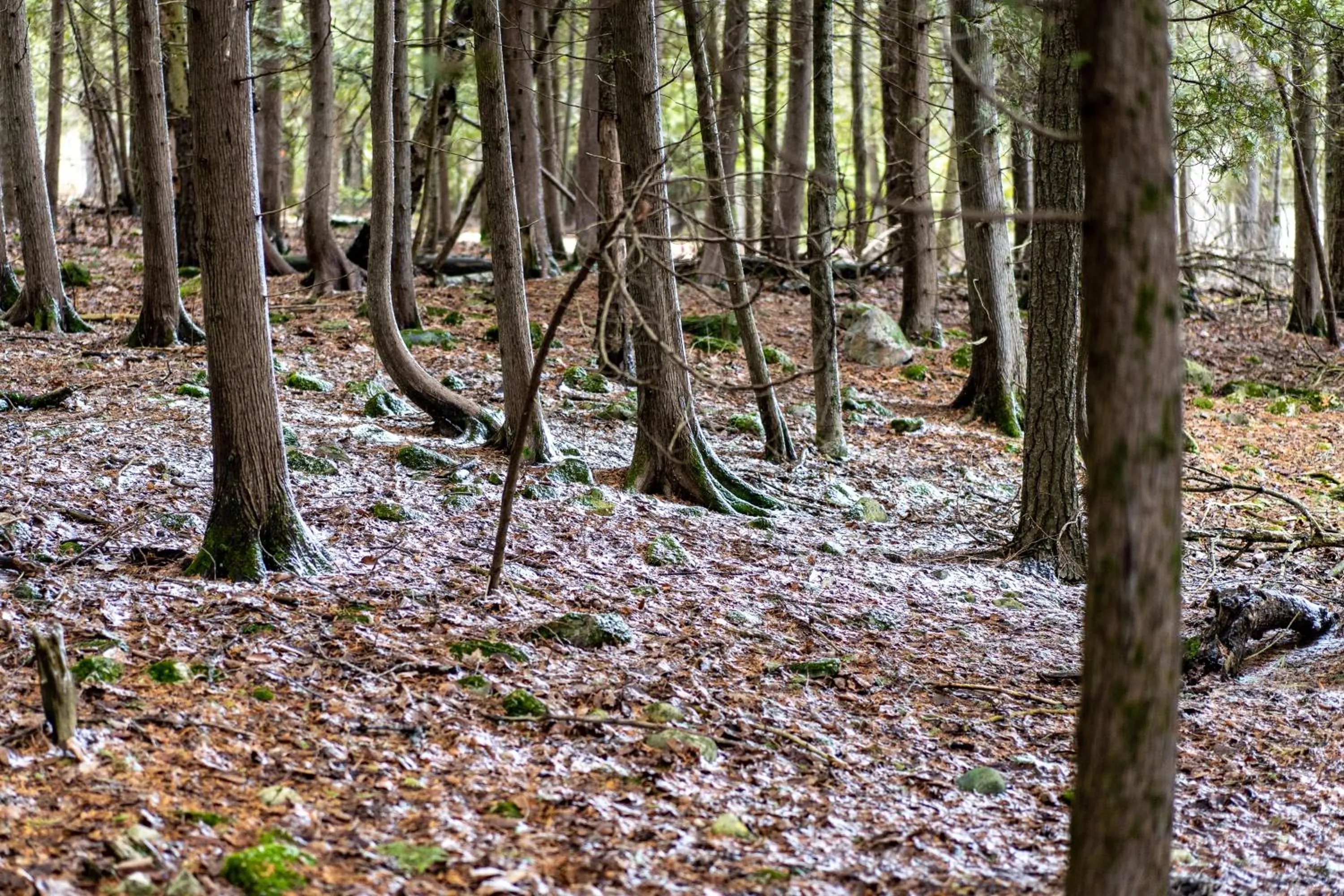 Hiking in Beach Harbor Resort