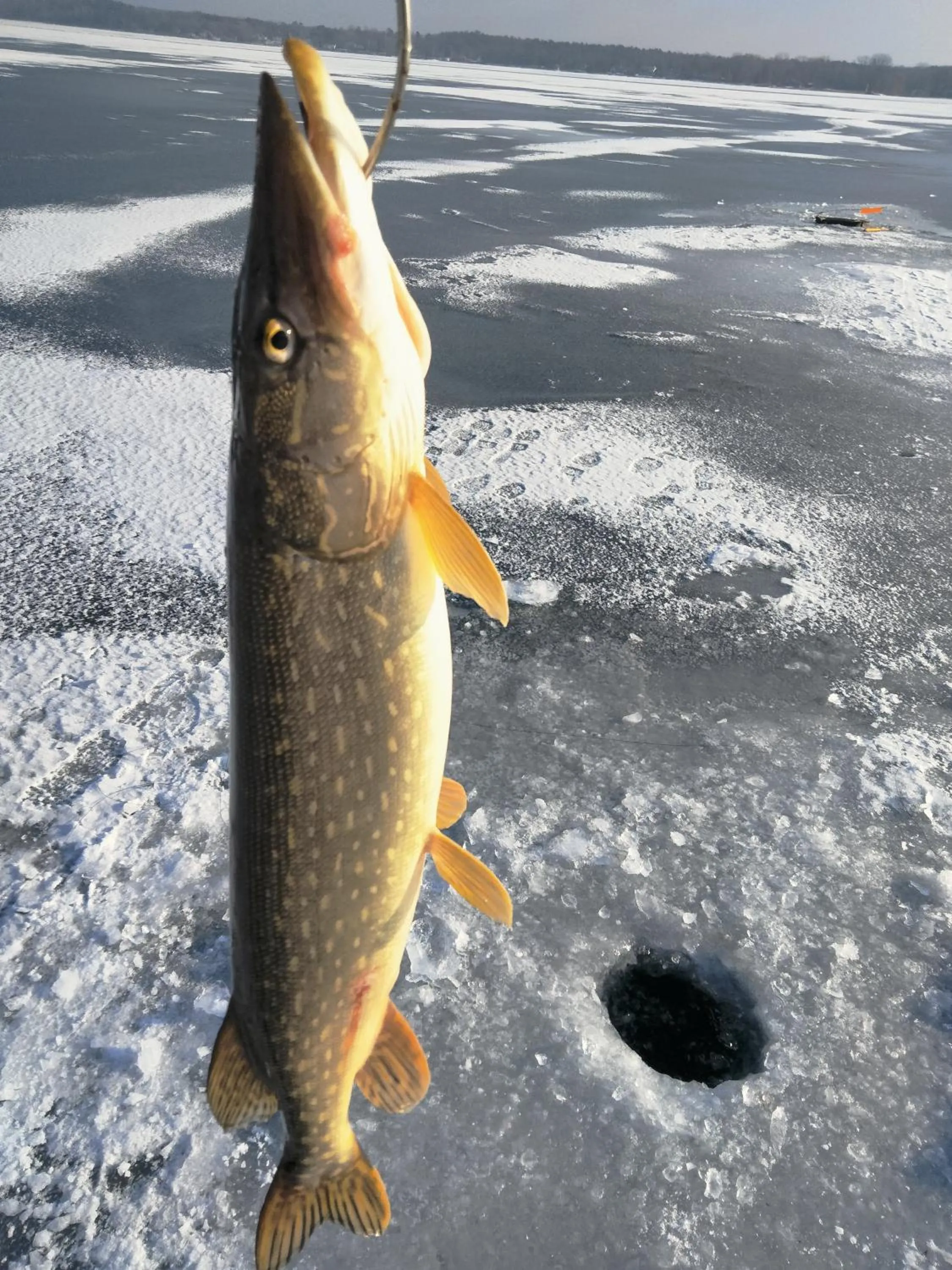 Activities in Beach Harbor Resort