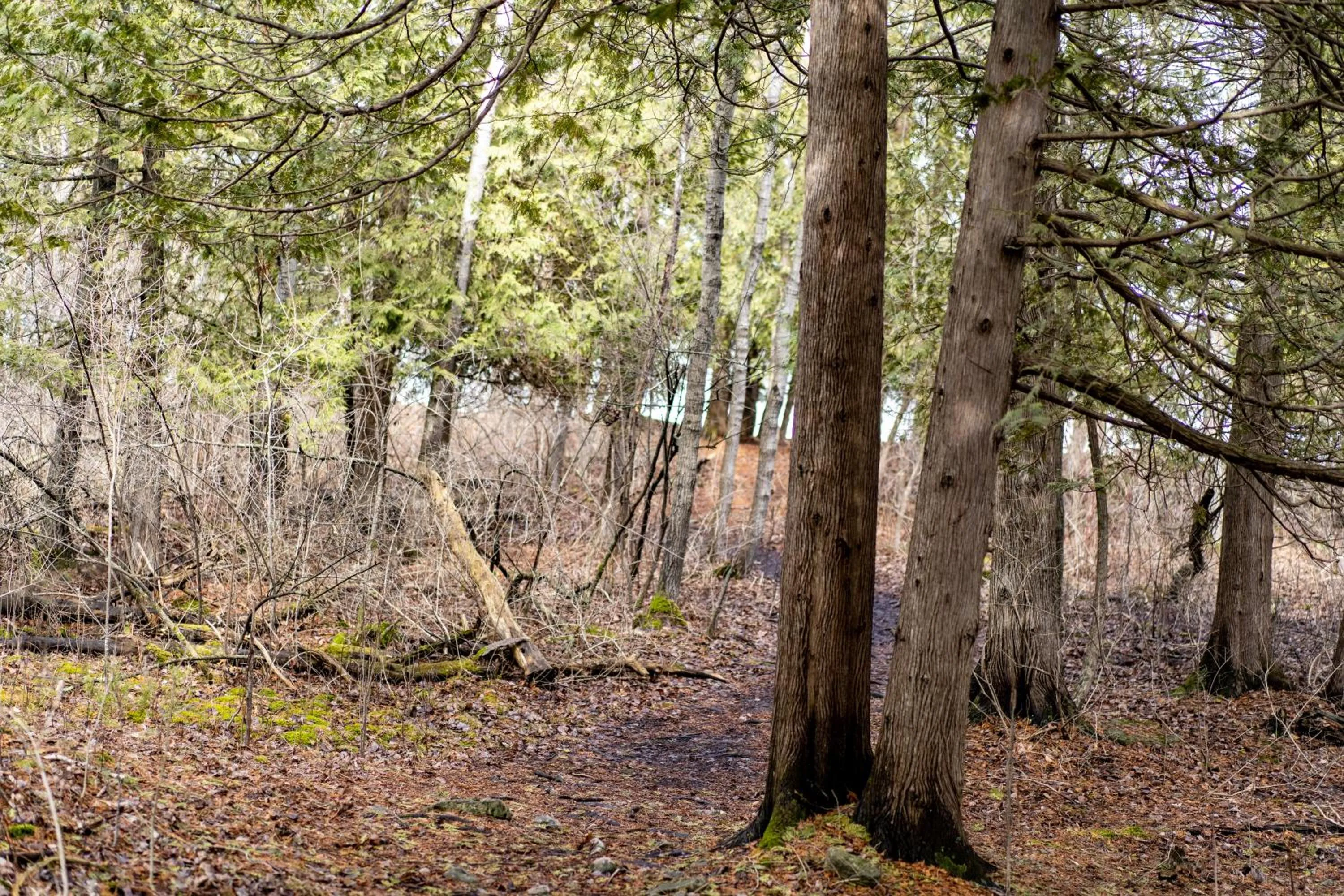 Activities in Beach Harbor Resort