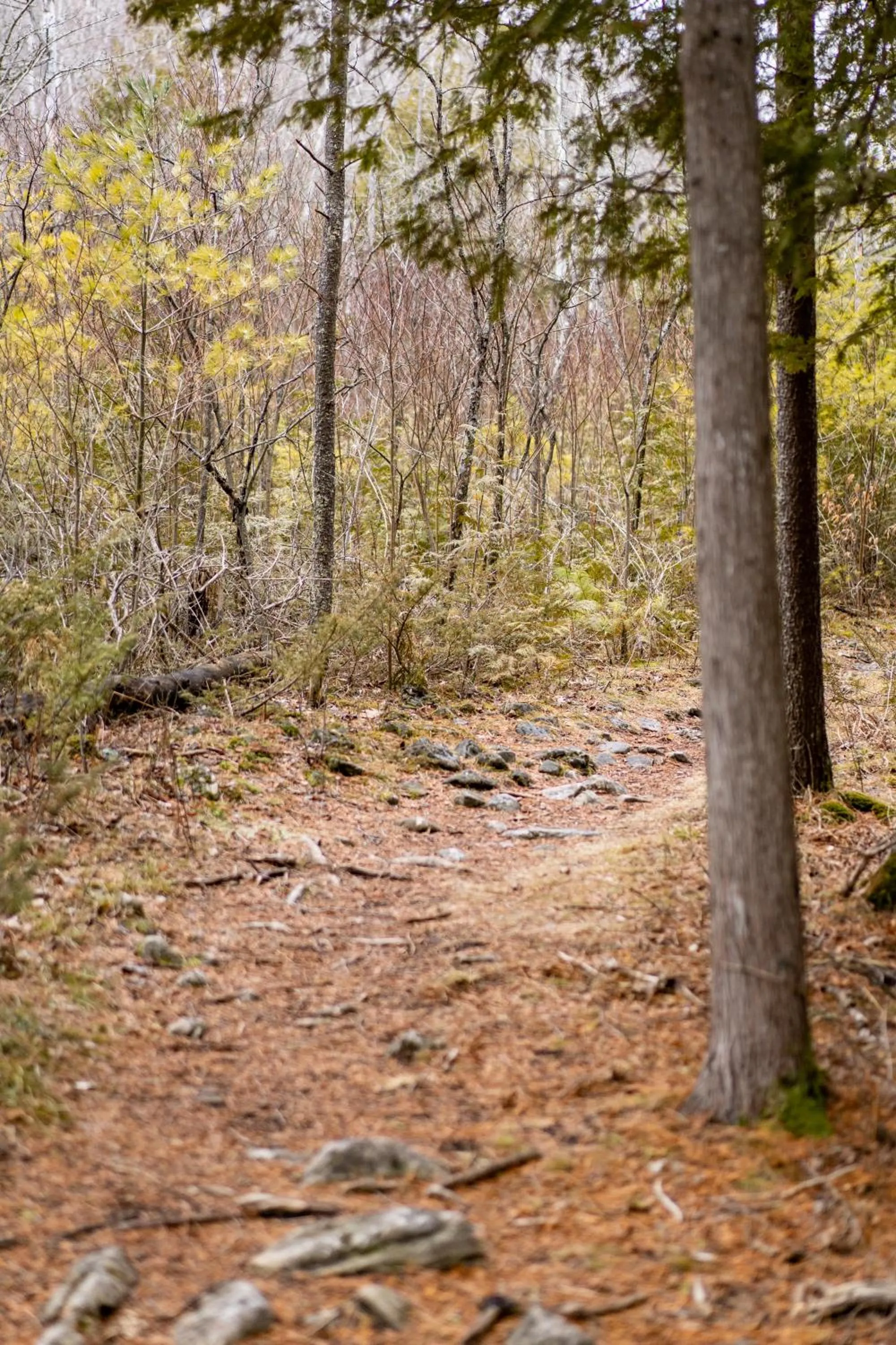 Hiking in Beach Harbor Resort