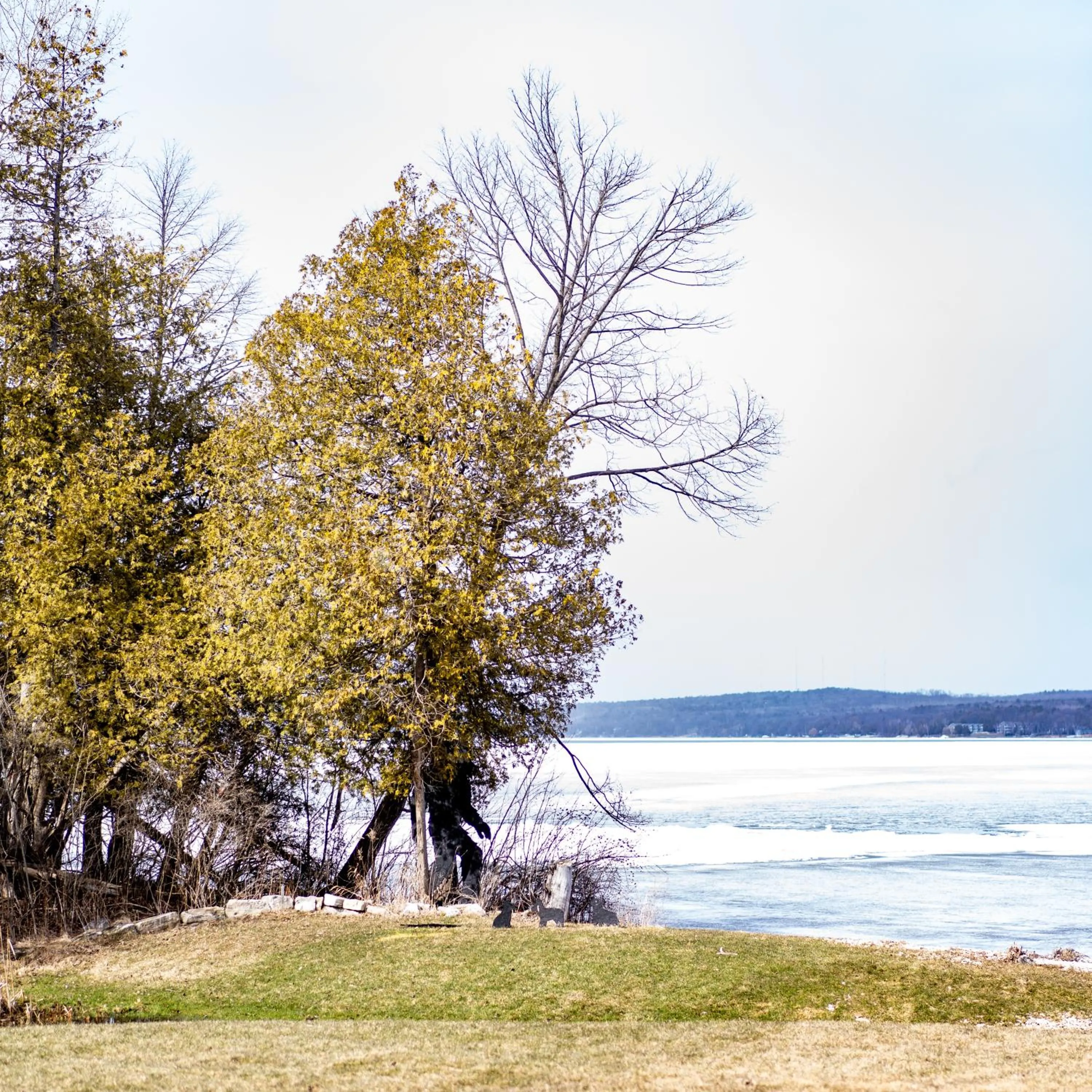View (from property/room) in Beach Harbor Resort