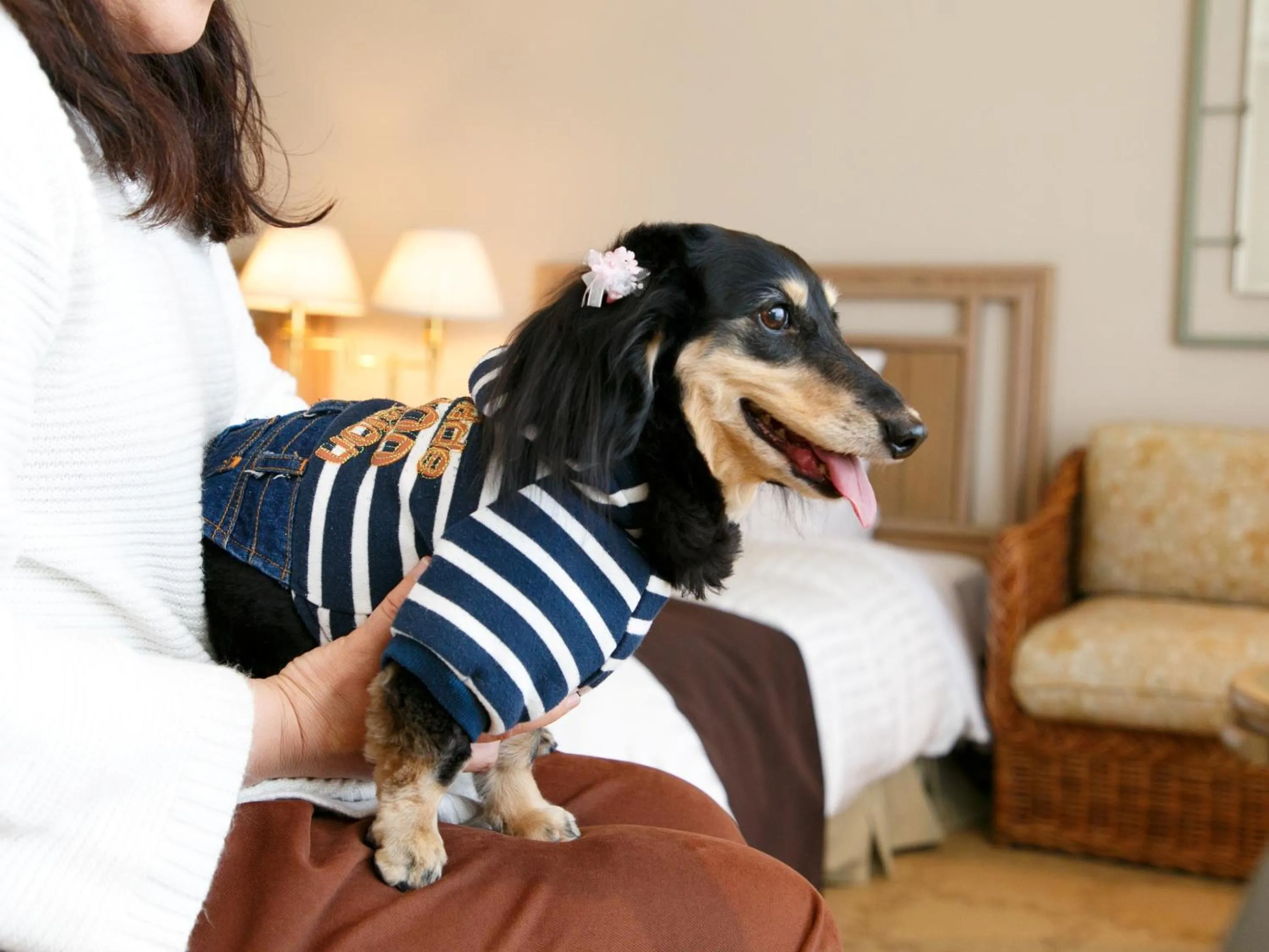 Photo of the whole room in Okura Akademia Park Hotel
