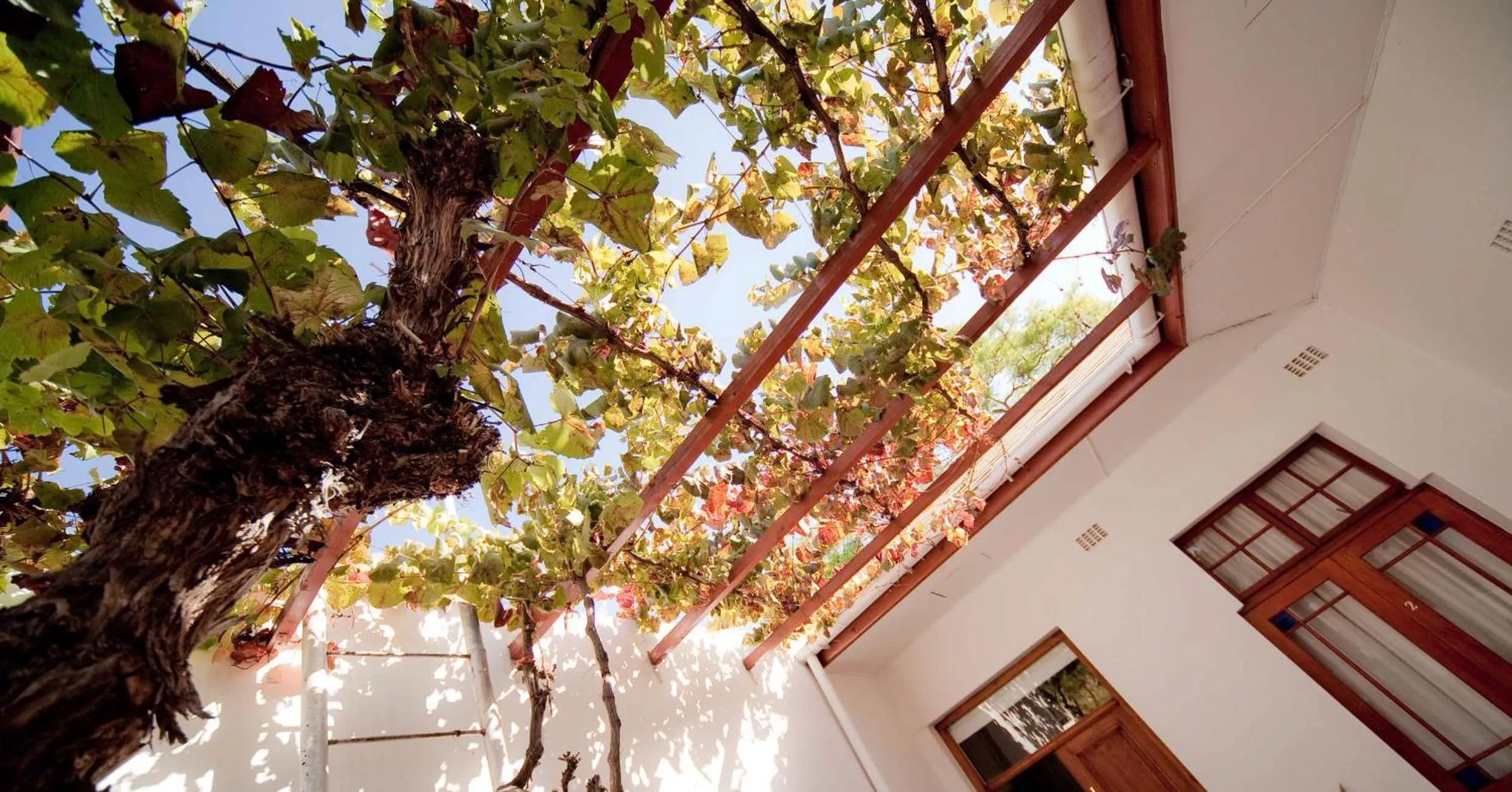 Patio in GuBas De Hoek meet eat sleep