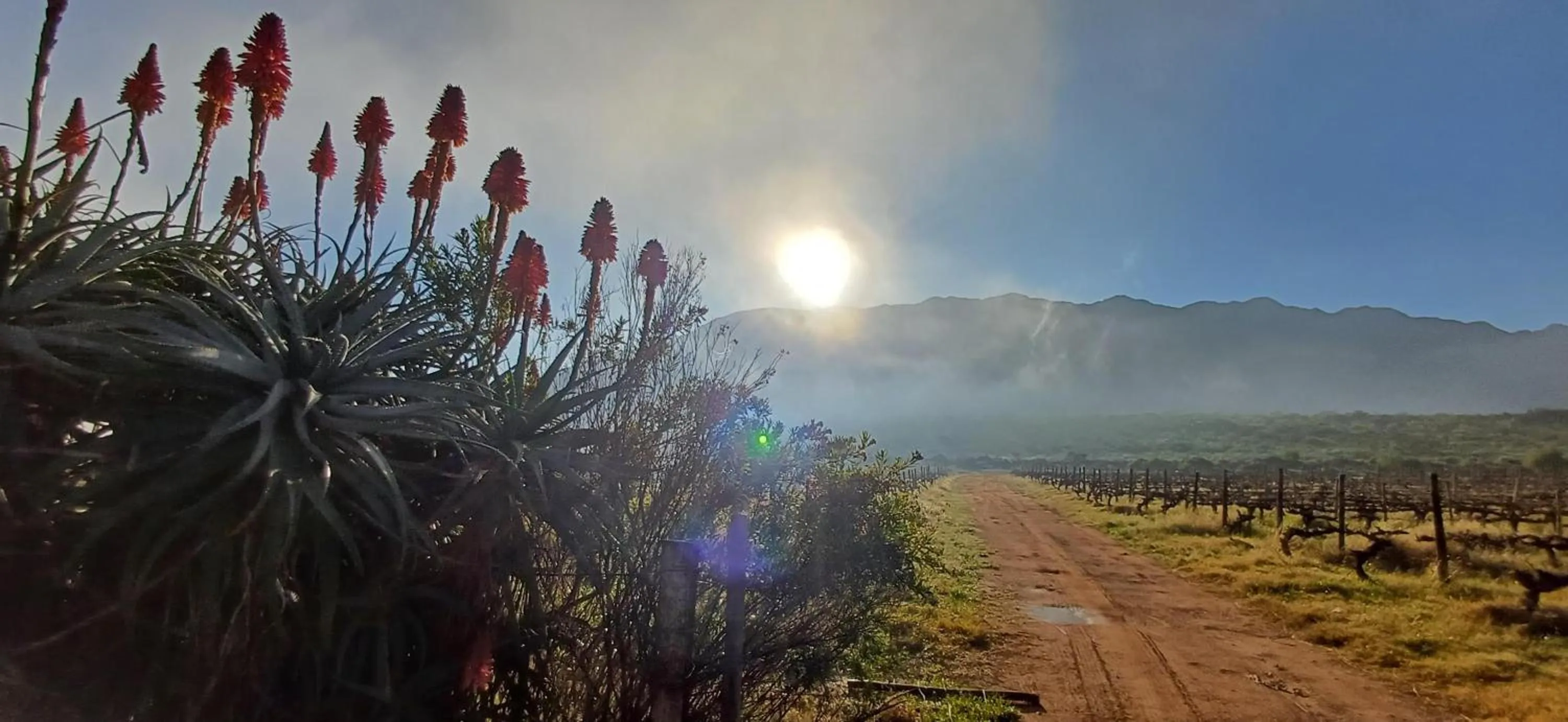 Nearby landmark in GuBas De Hoek meet eat sleep