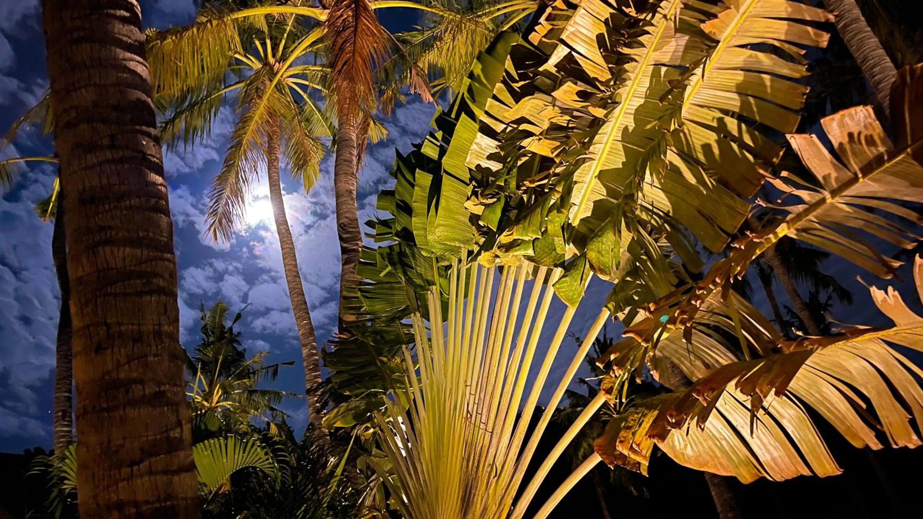 Night in Palm Garden Amed Beach & Spa Resort Bali