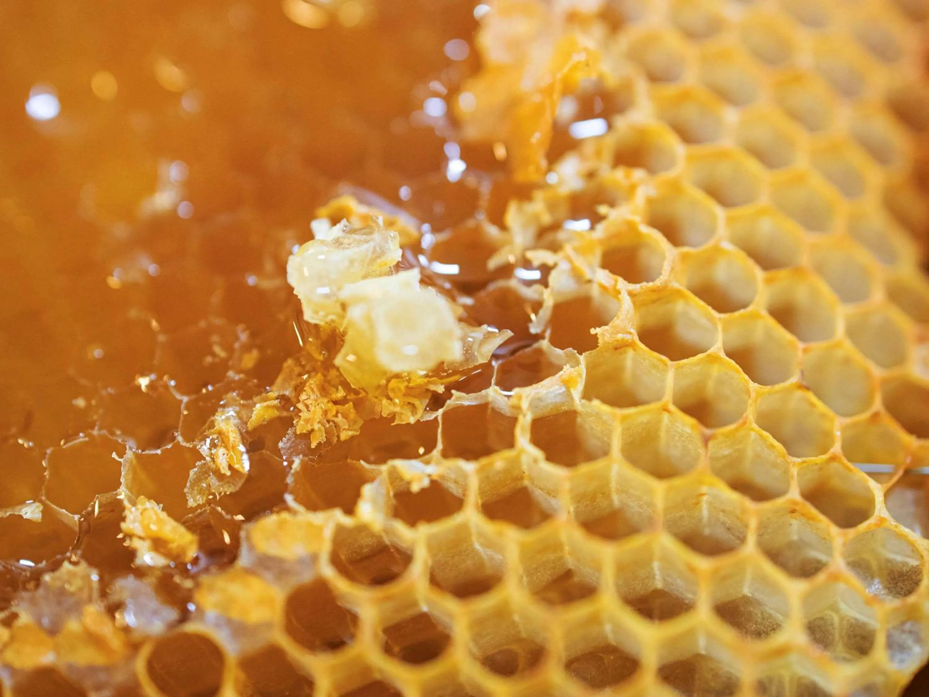 Breakfast in Hôtel Calm Lille