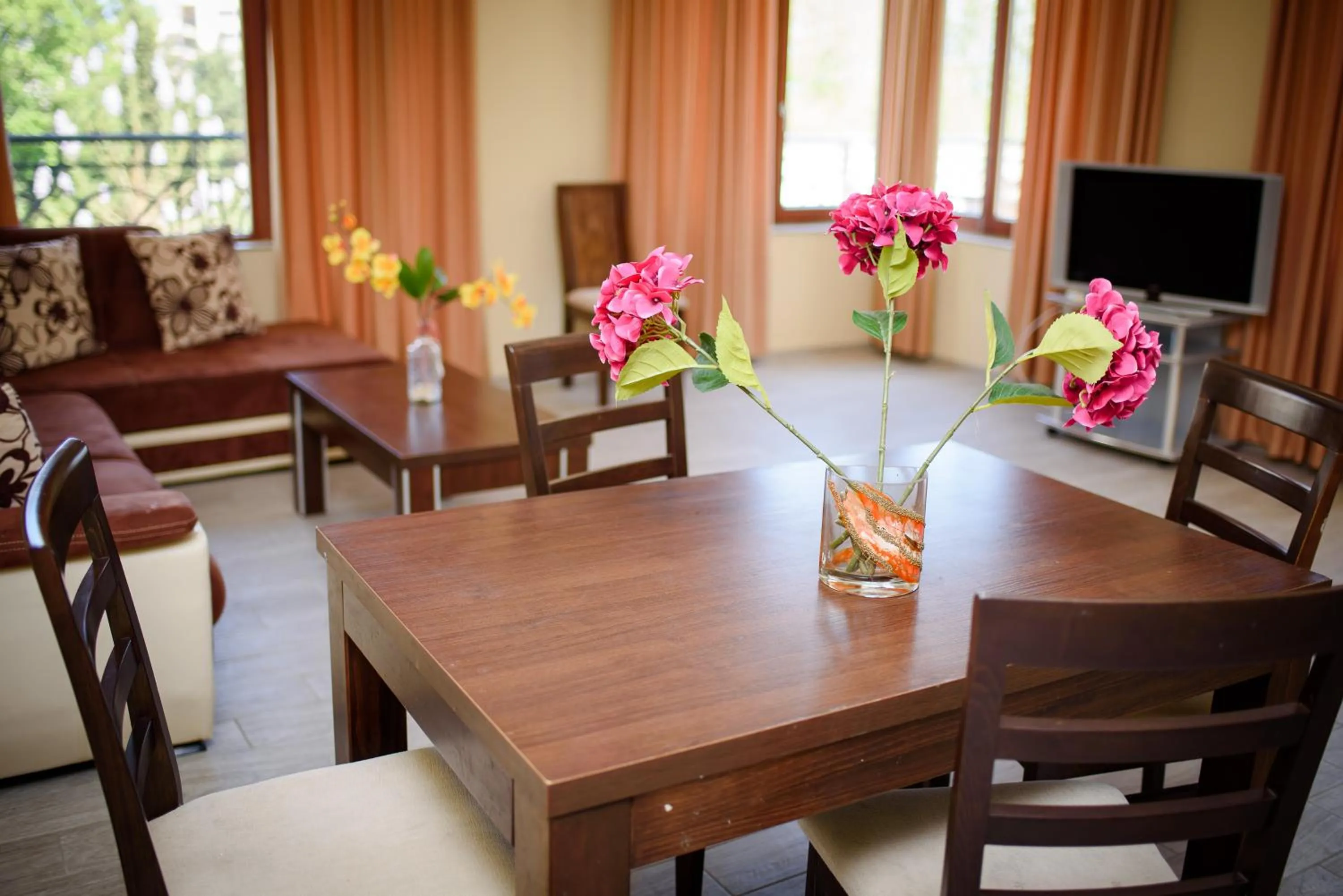 Living room in Sea View Rental Iglika Apartments