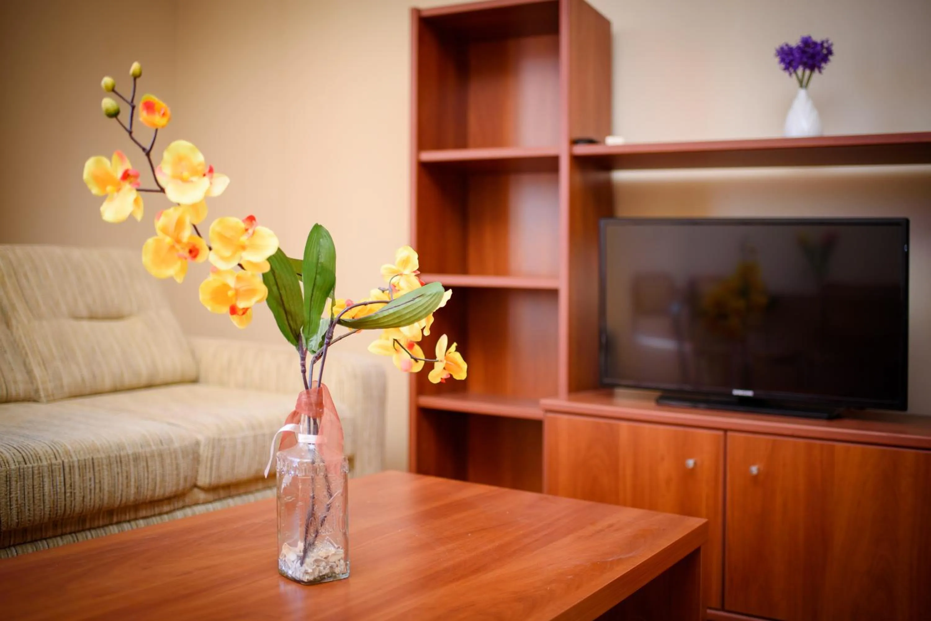 TV and multimedia in Sea View Rental Iglika Apartments