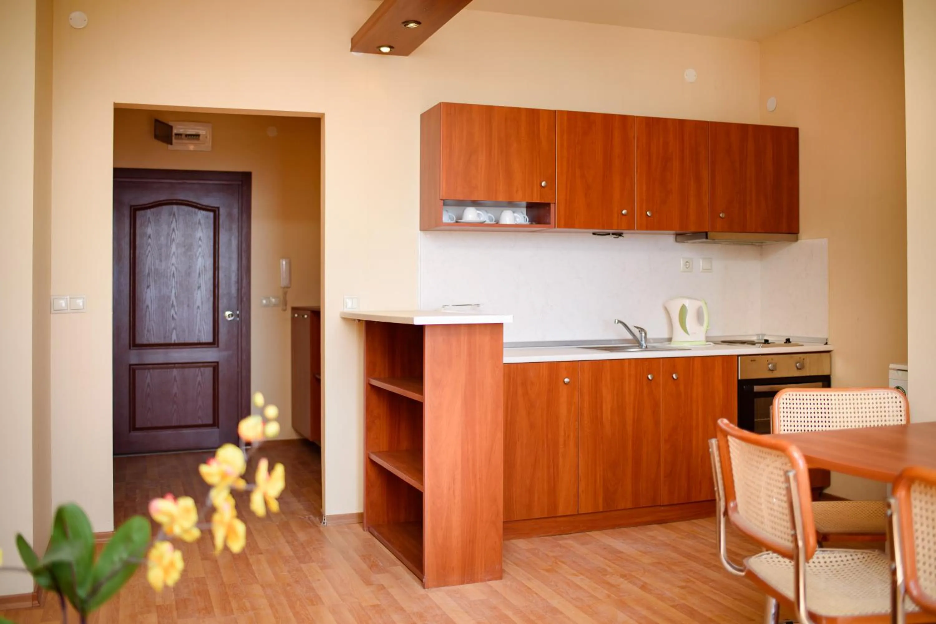 Kitchen or kitchenette in Sea View Rental Iglika Apartments
