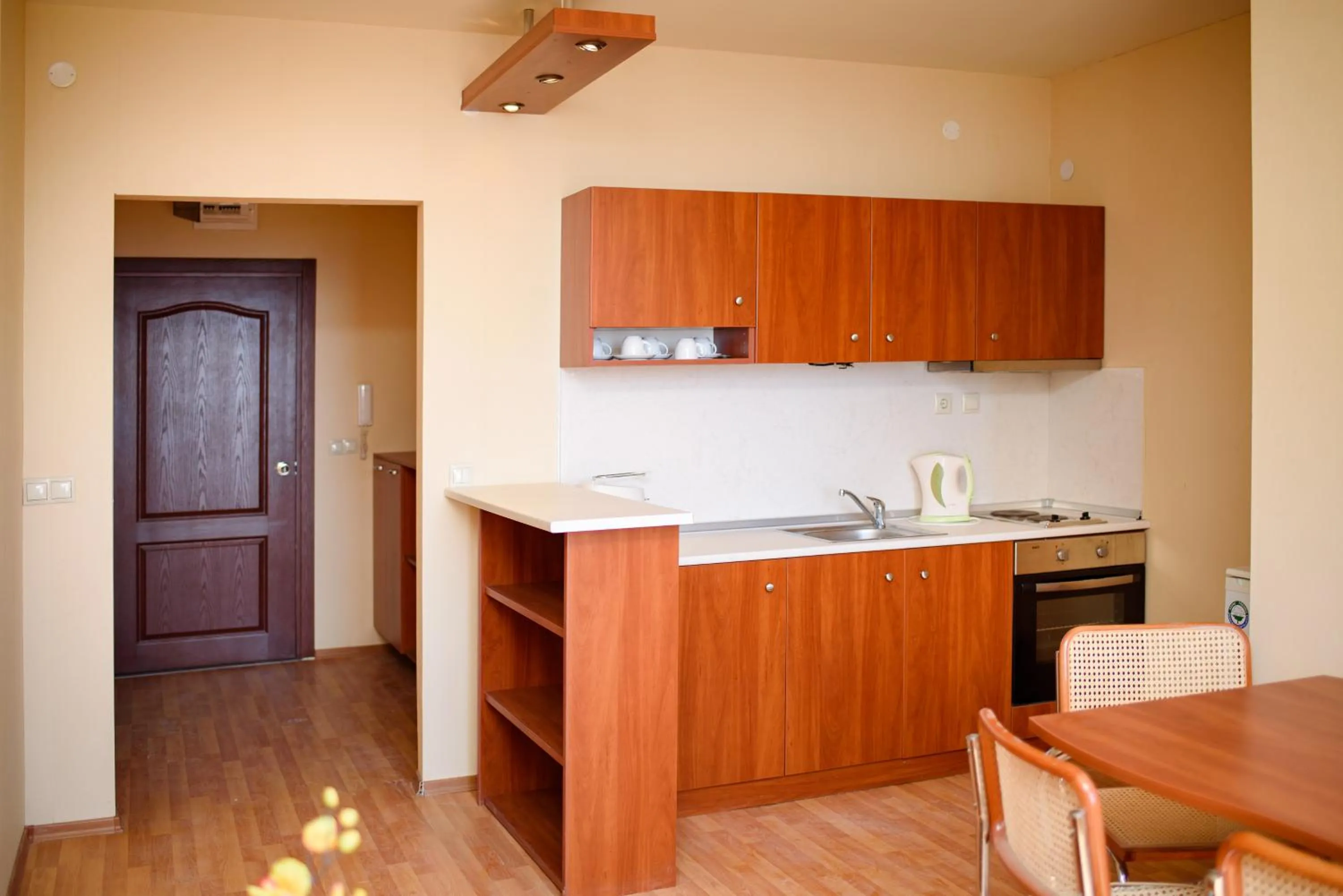 Kitchen or kitchenette in Sea View Rental Iglika Apartments