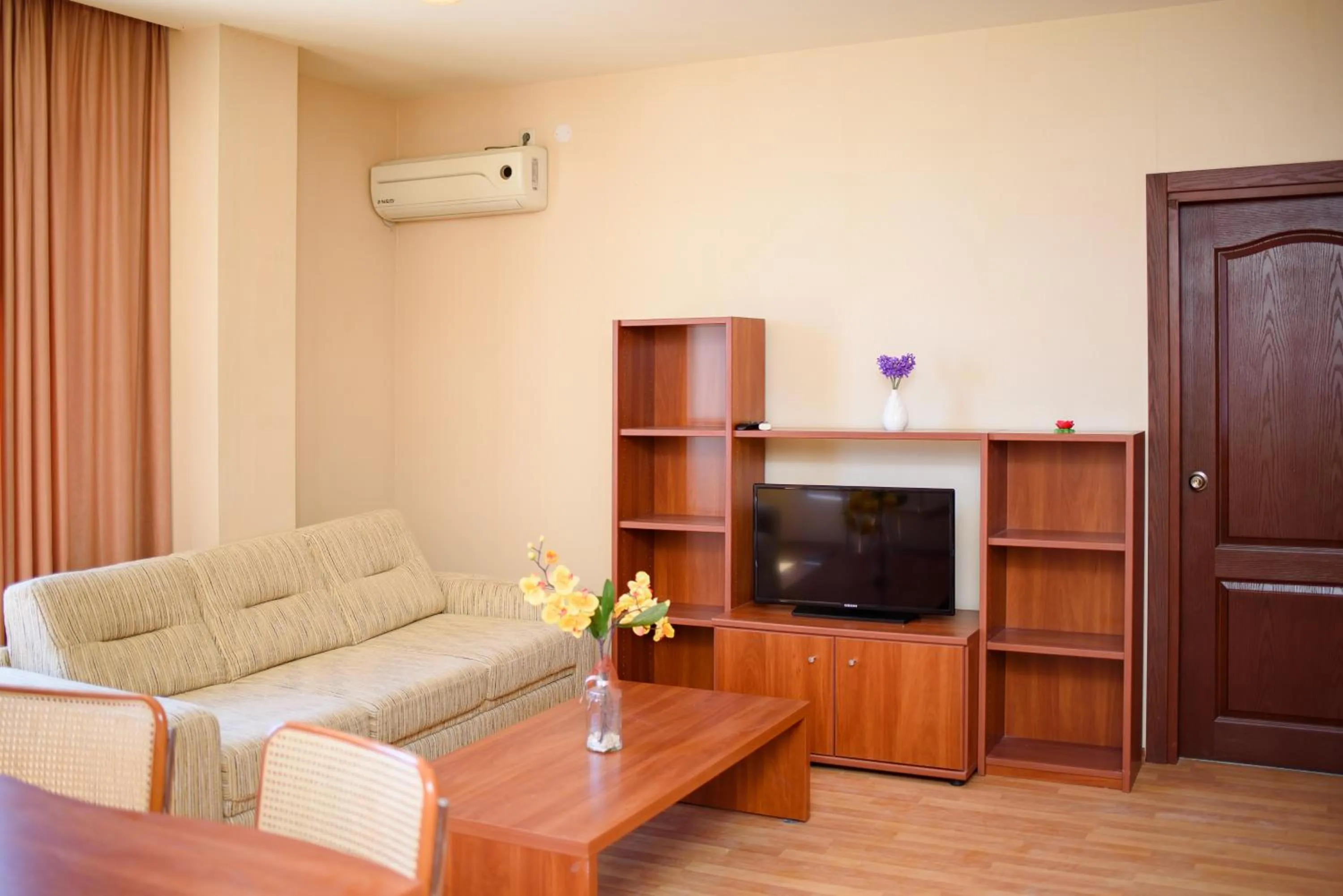 TV and multimedia in Sea View Rental Iglika Apartments