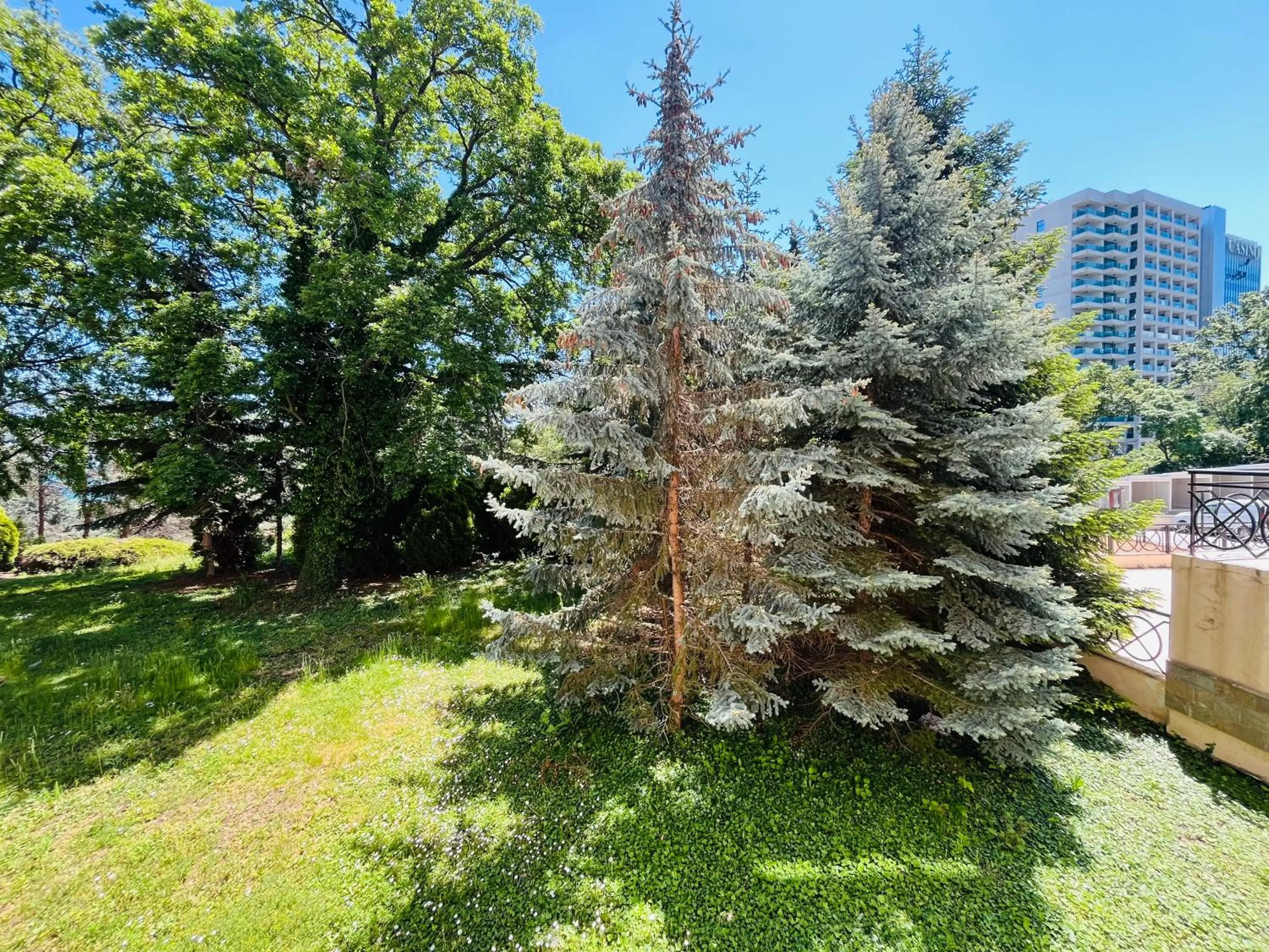 Spring in Sea View Rental Iglika Apartments