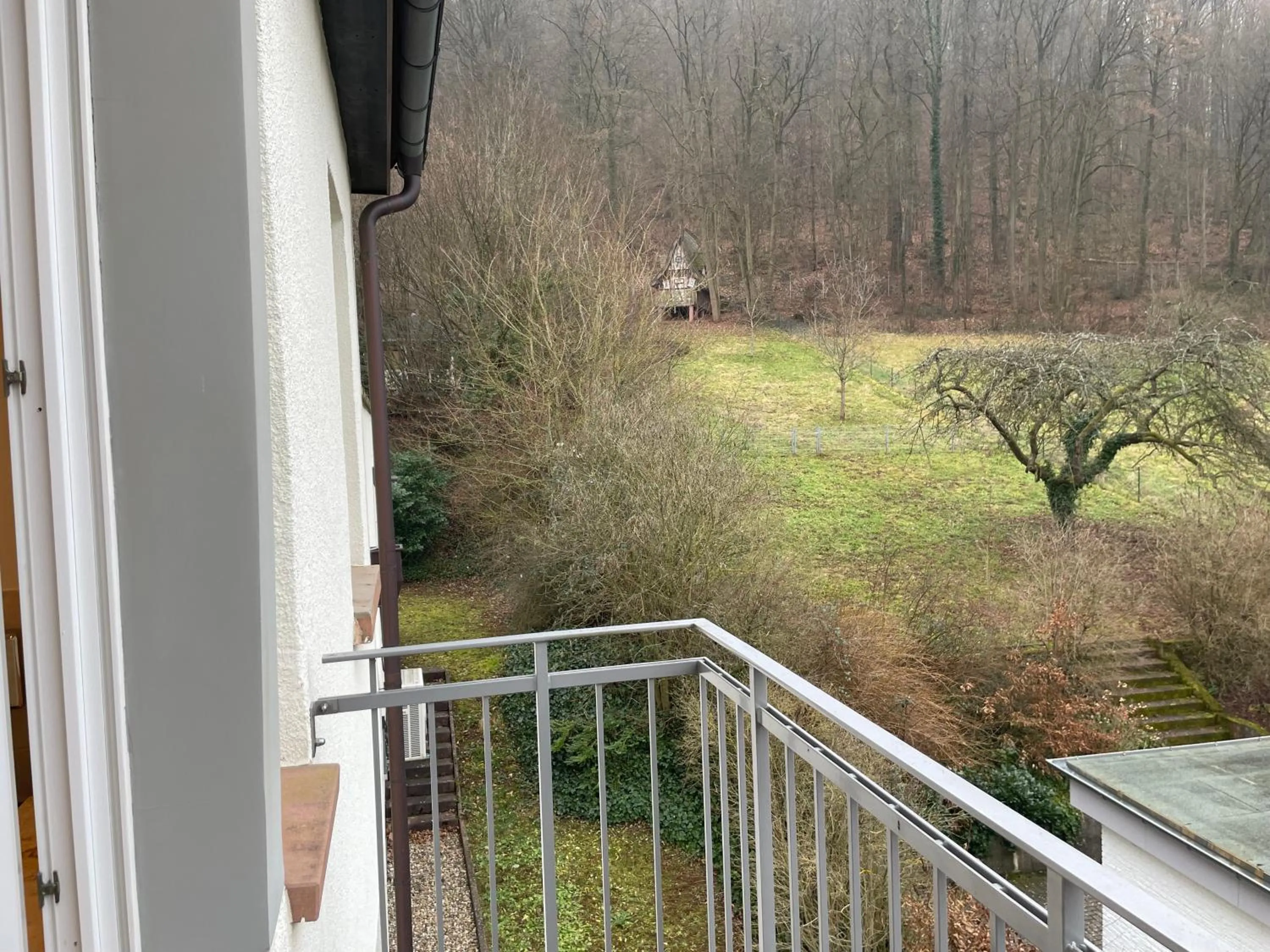 Natural landscape in Villa Waldfrieden - Design trifft Budget