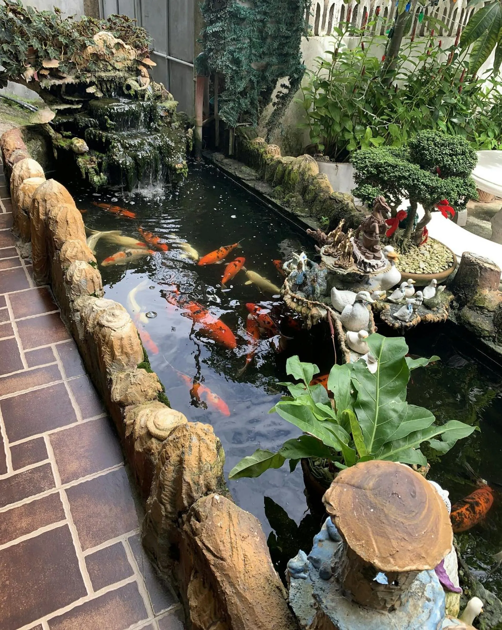 First Baby Bytes Guest House