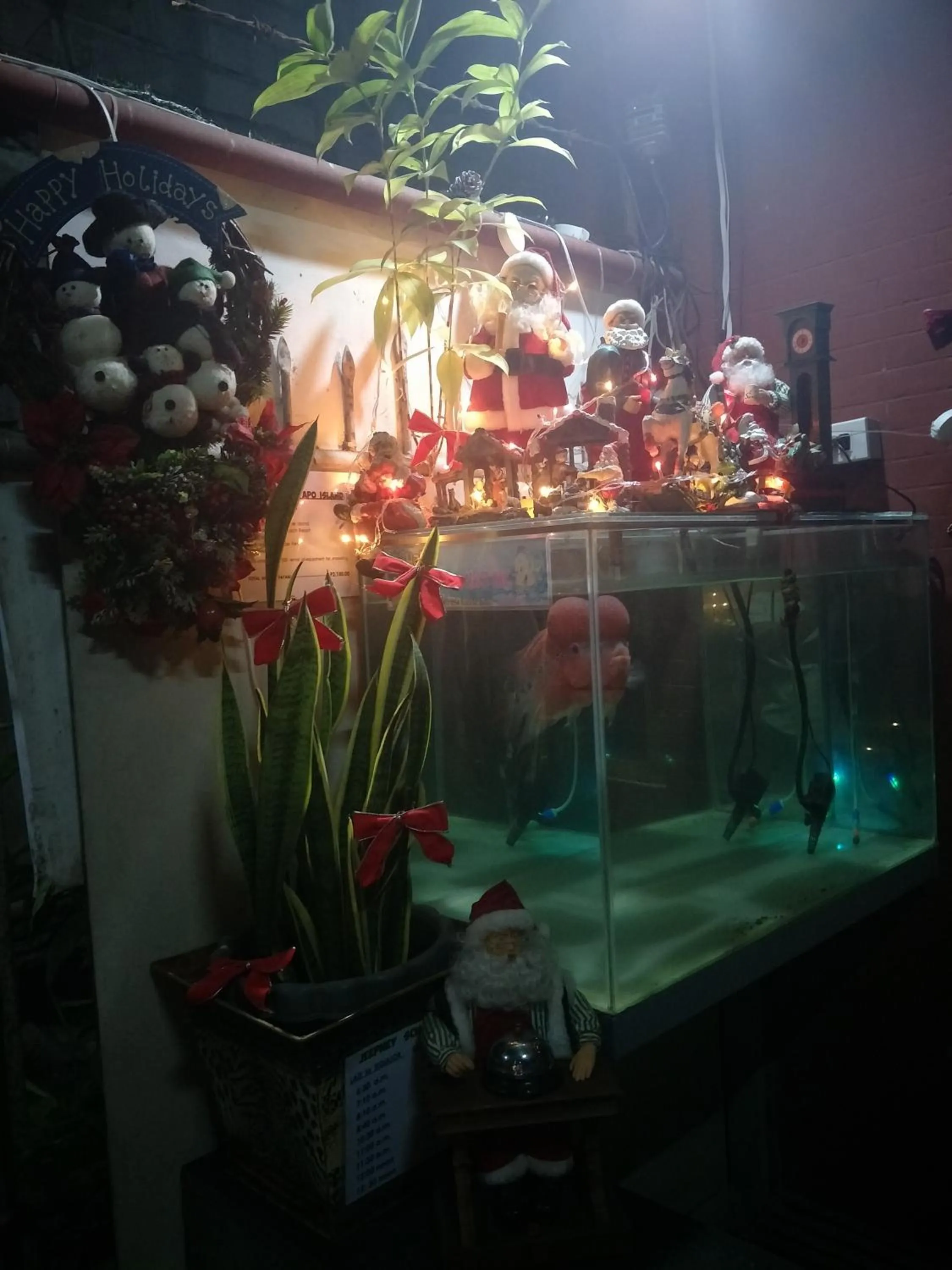 First Baby Bytes Guest House