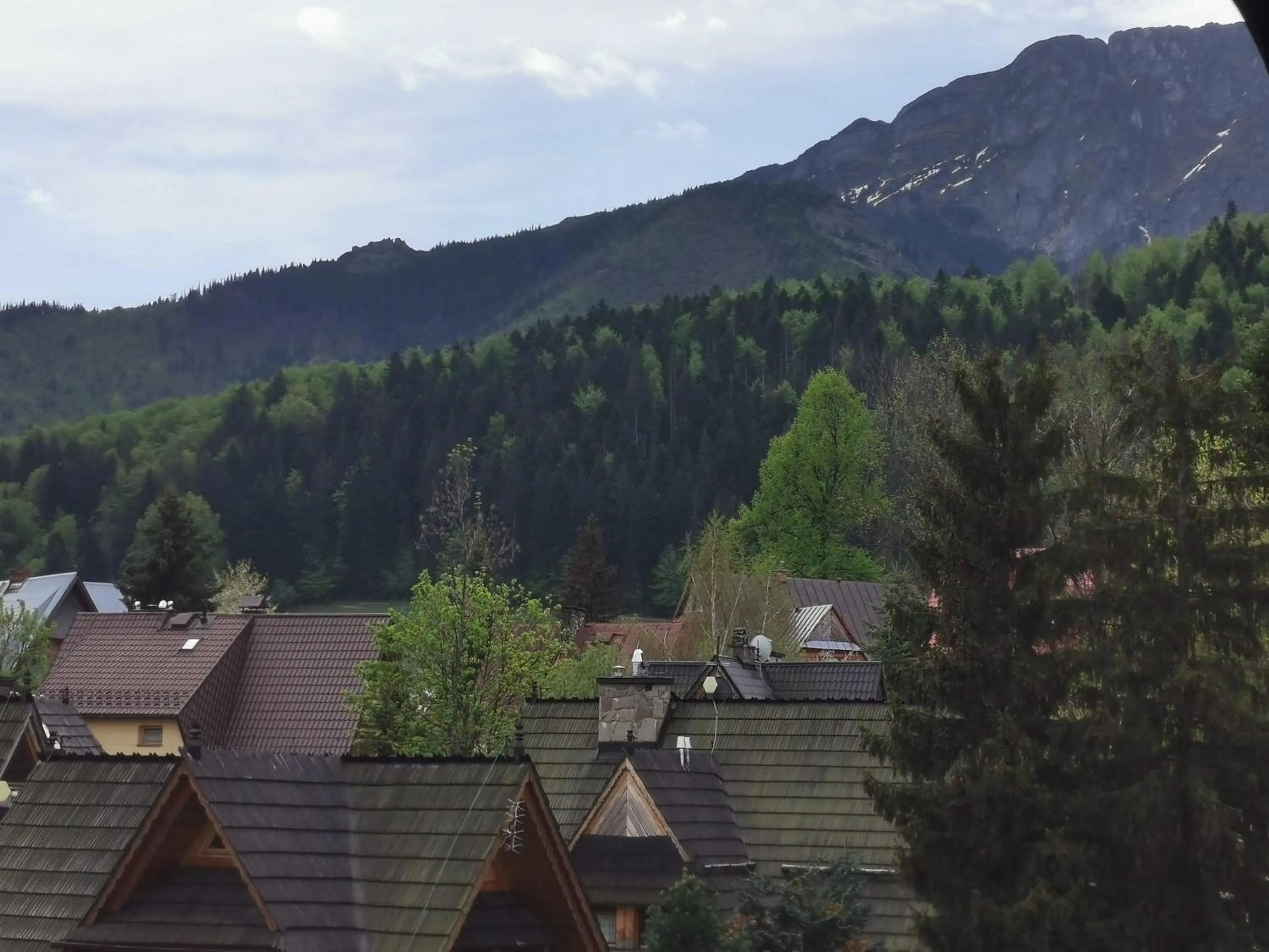 Neighbourhood in Willa Senator