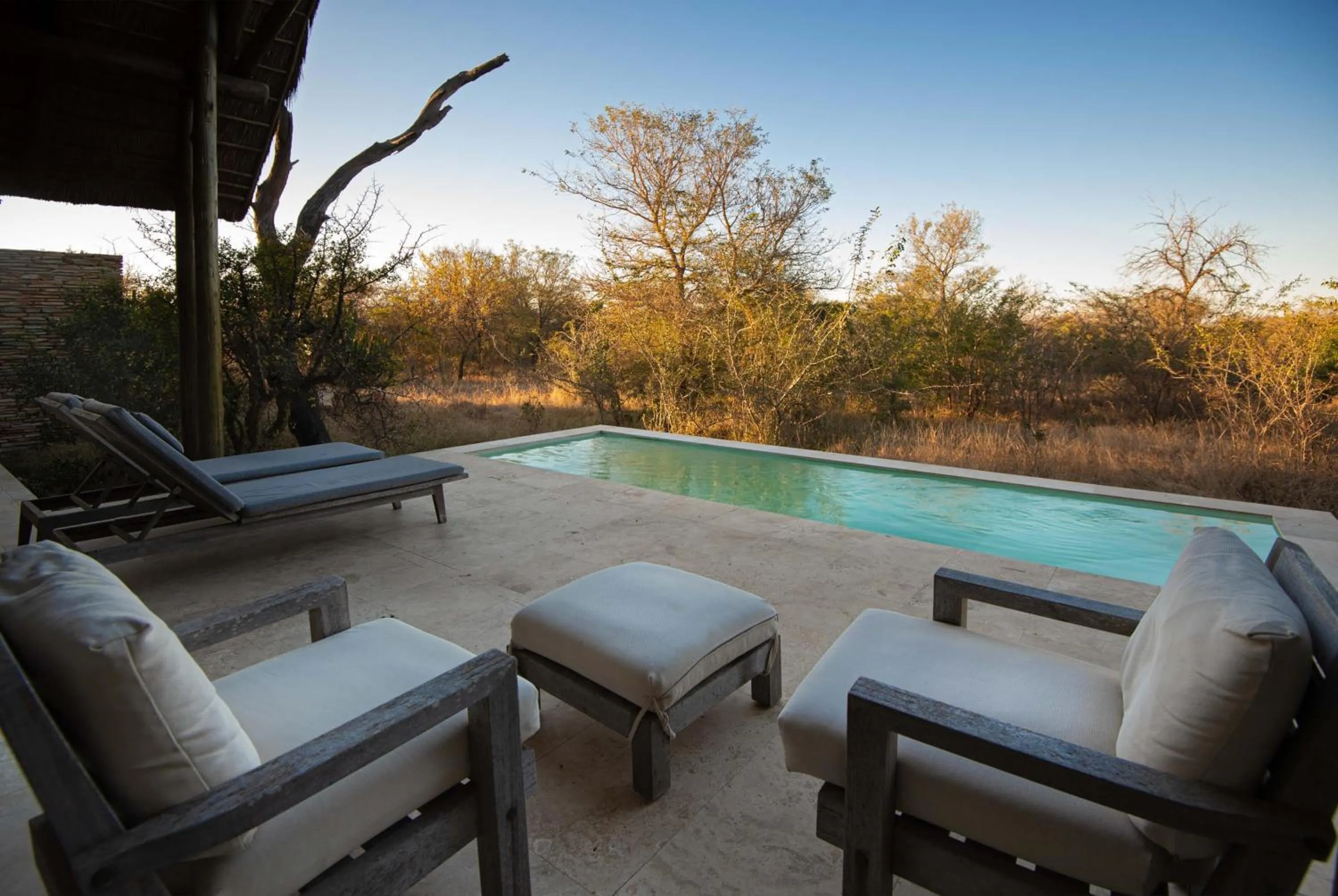 Balcony/Terrace in Kapama Southern Camp