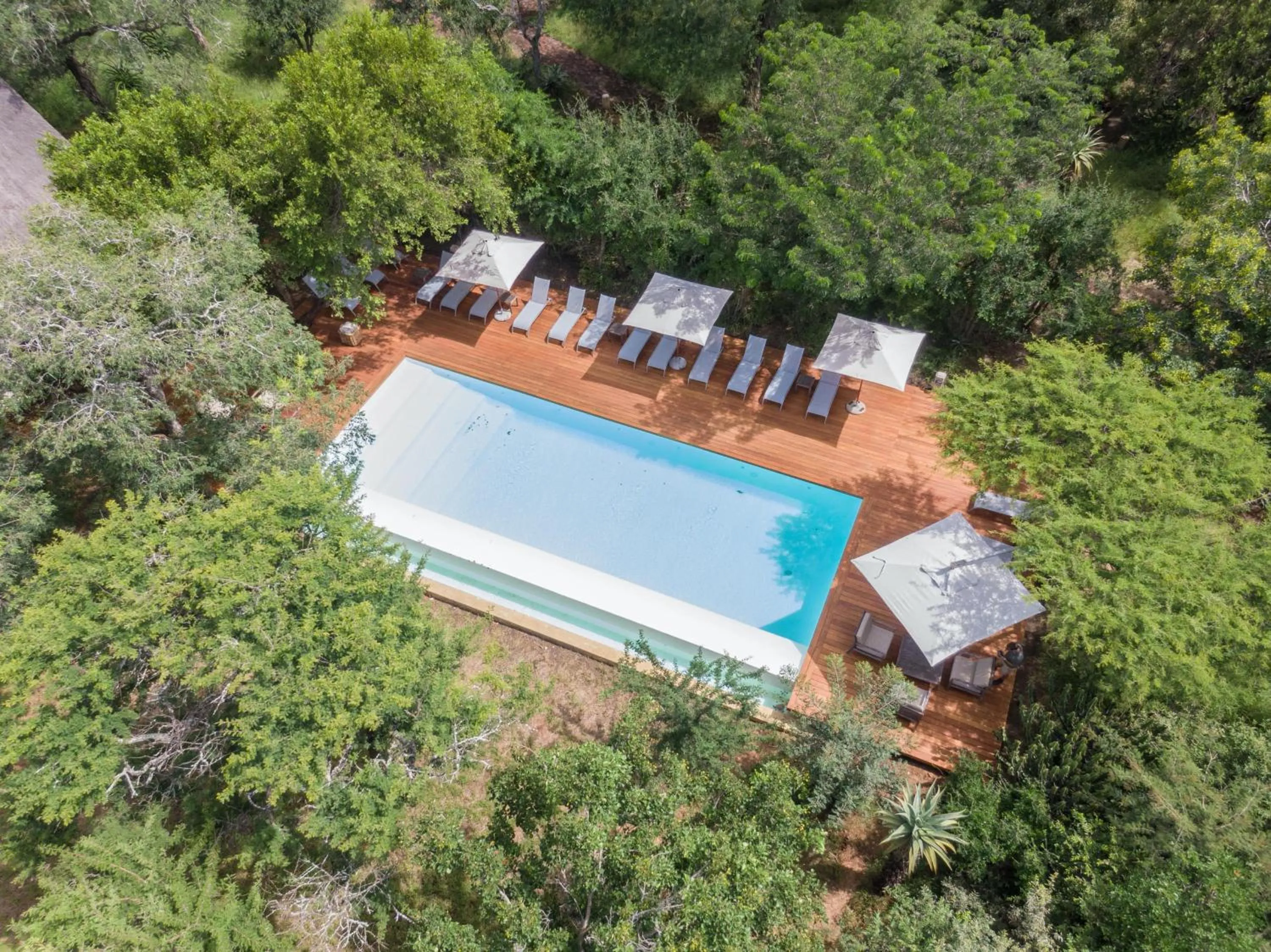 Day in Kapama Southern Camp