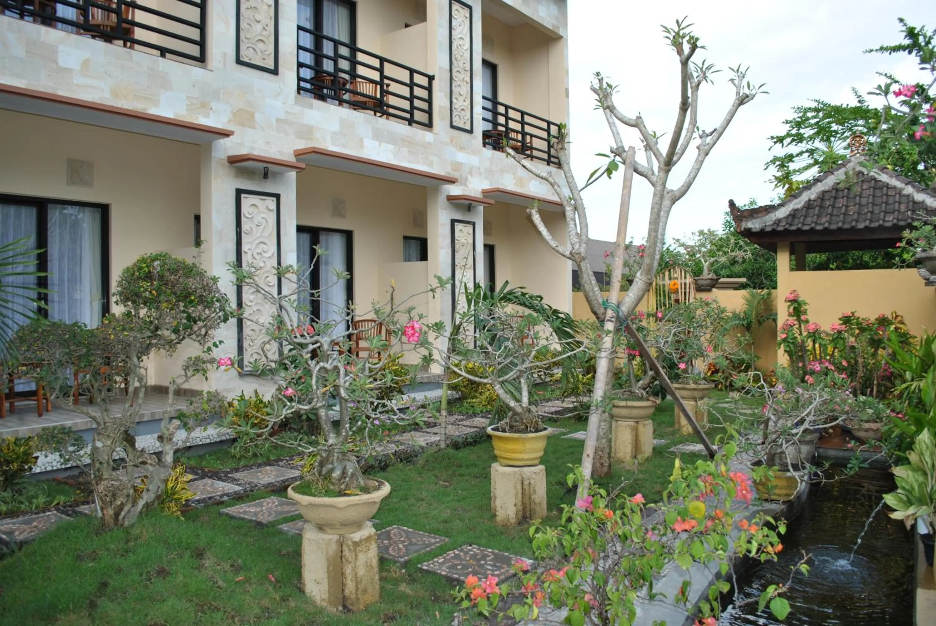 Garden view in Betesda Guest House
