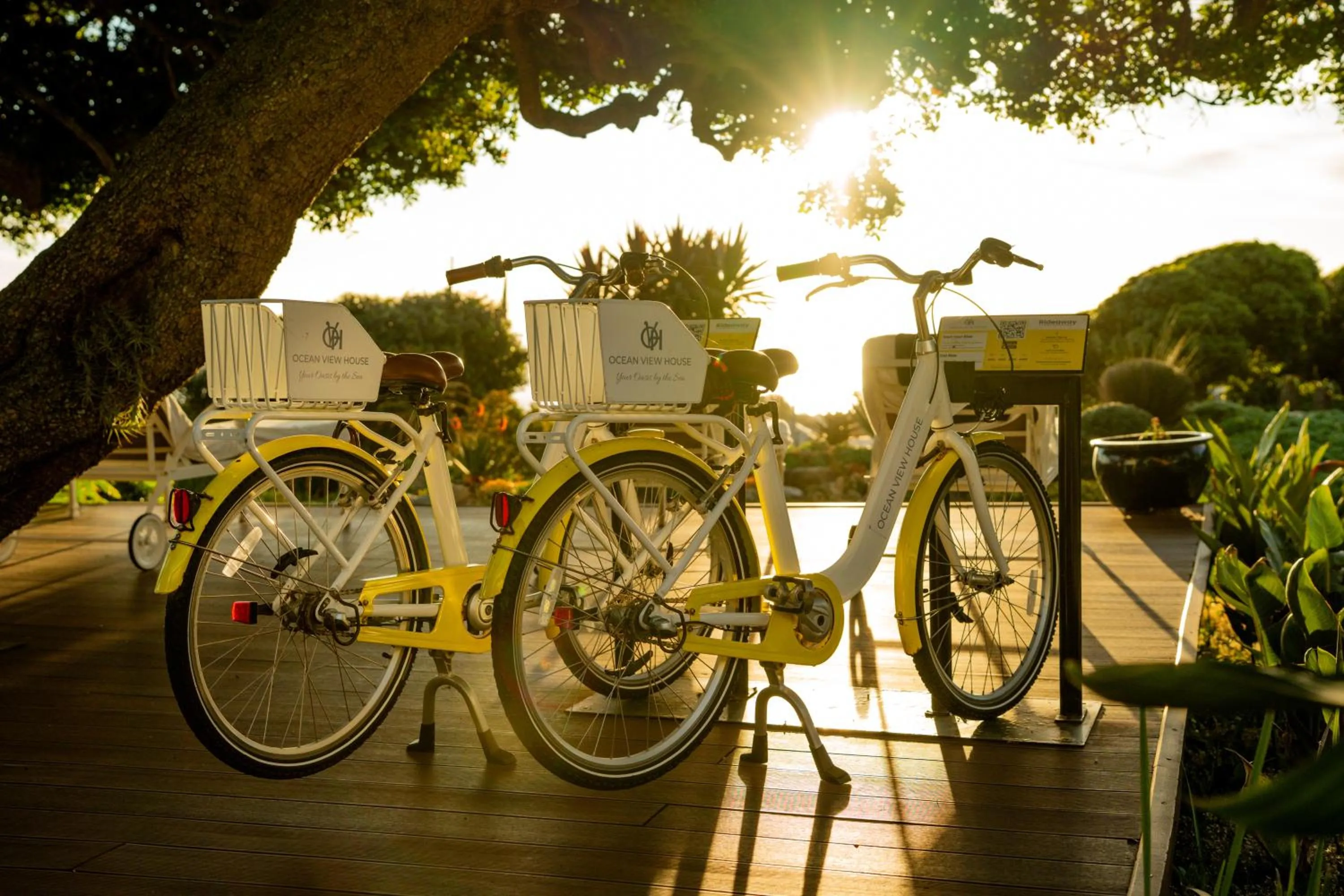 Cycling in Ocean View House
