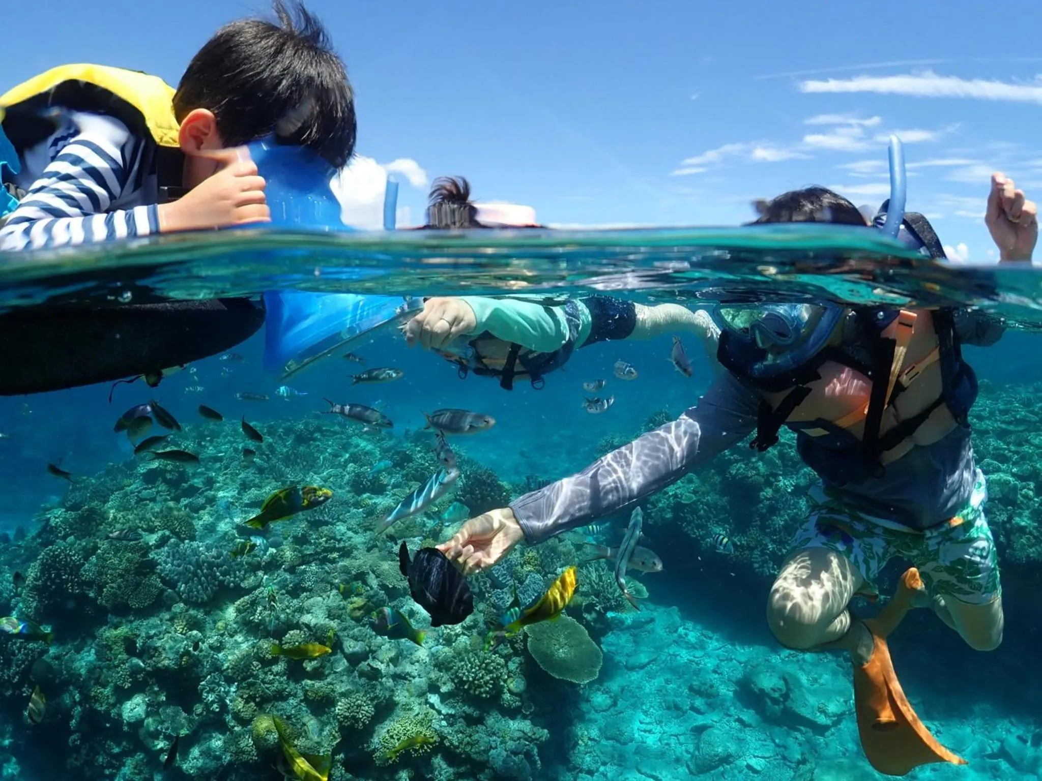 Activities in Hotel Oceans Nakijin