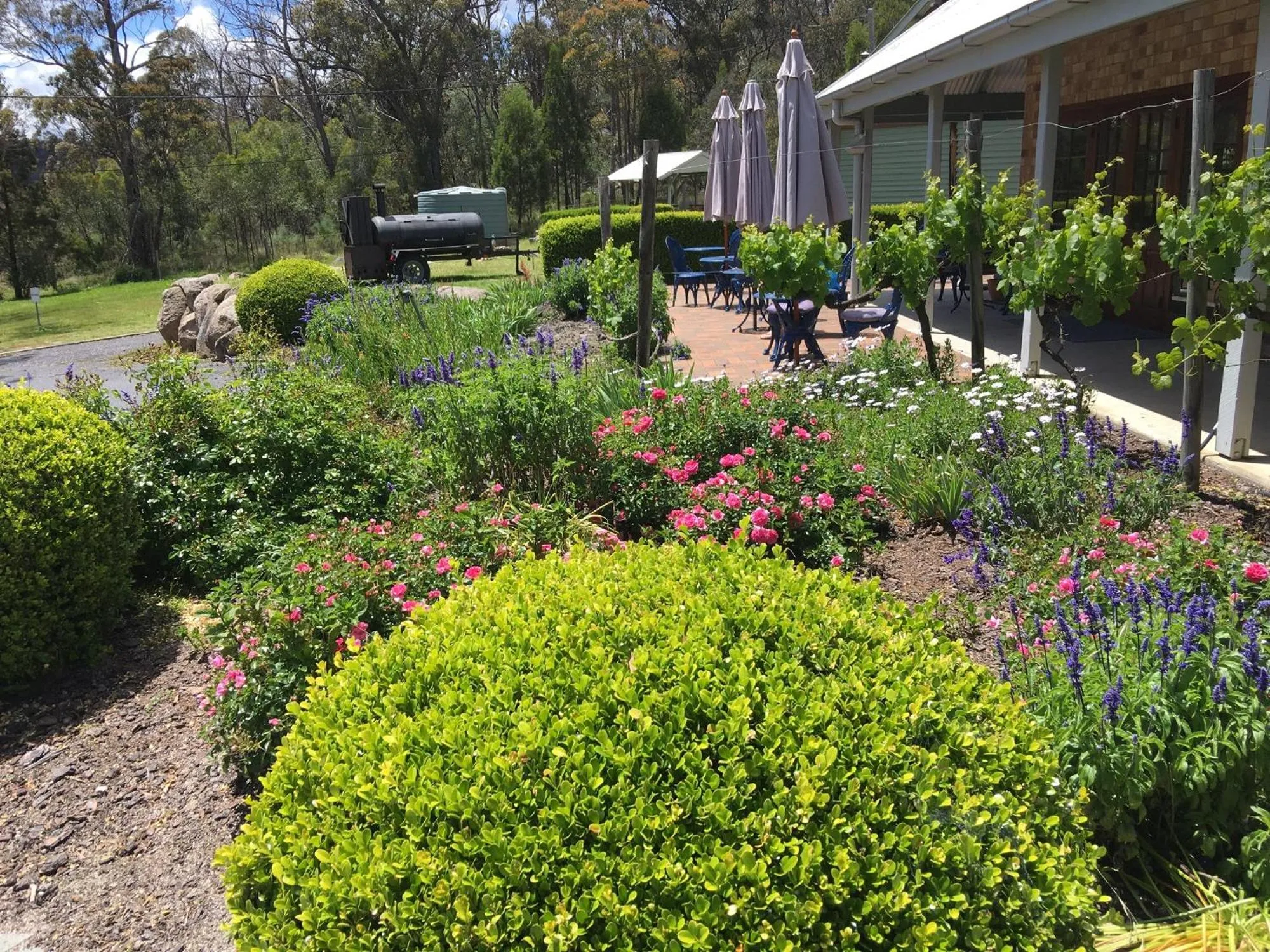 Garden in Girraween Country Inn