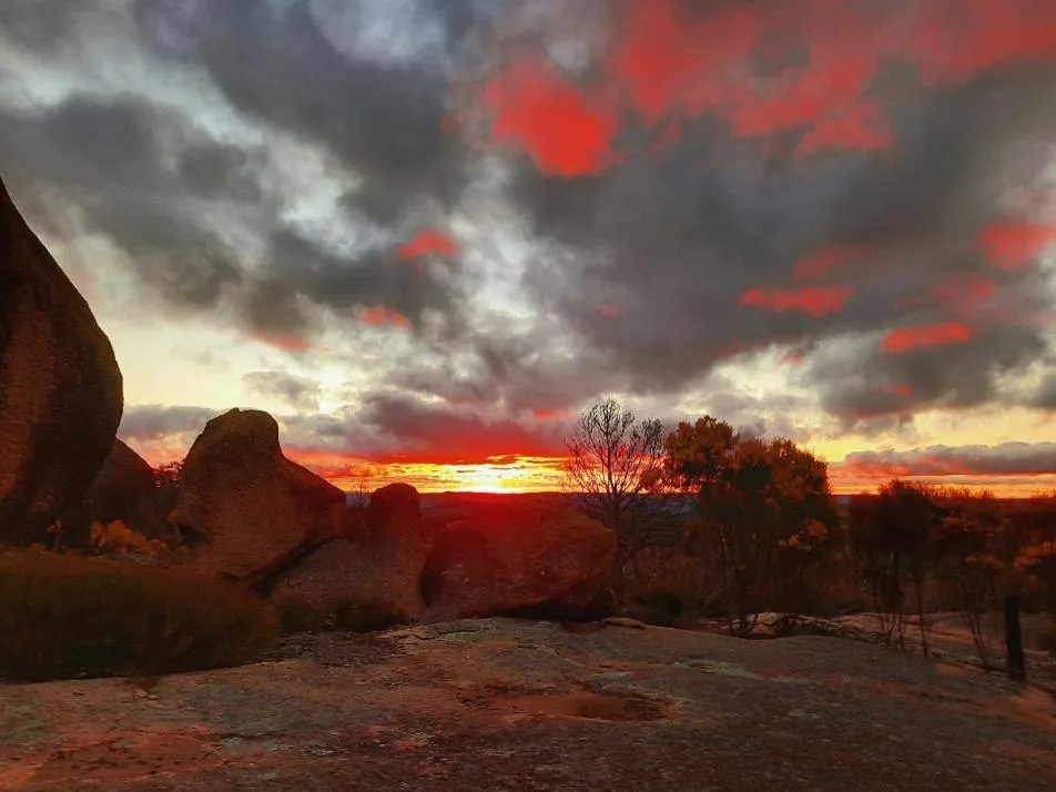 View (from property/room) in Girraween Country Inn