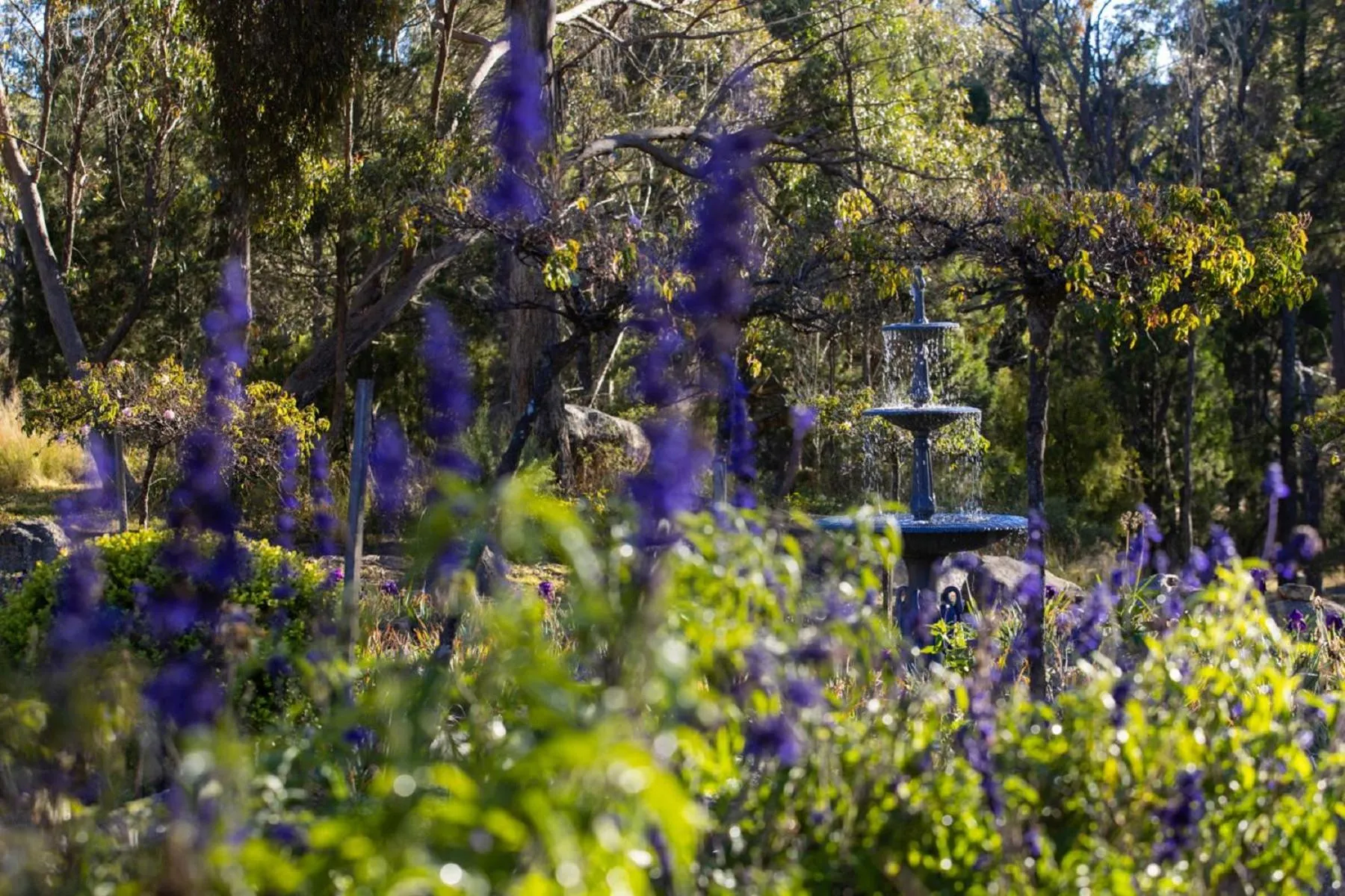 Natural landscape in Girraween Country Inn