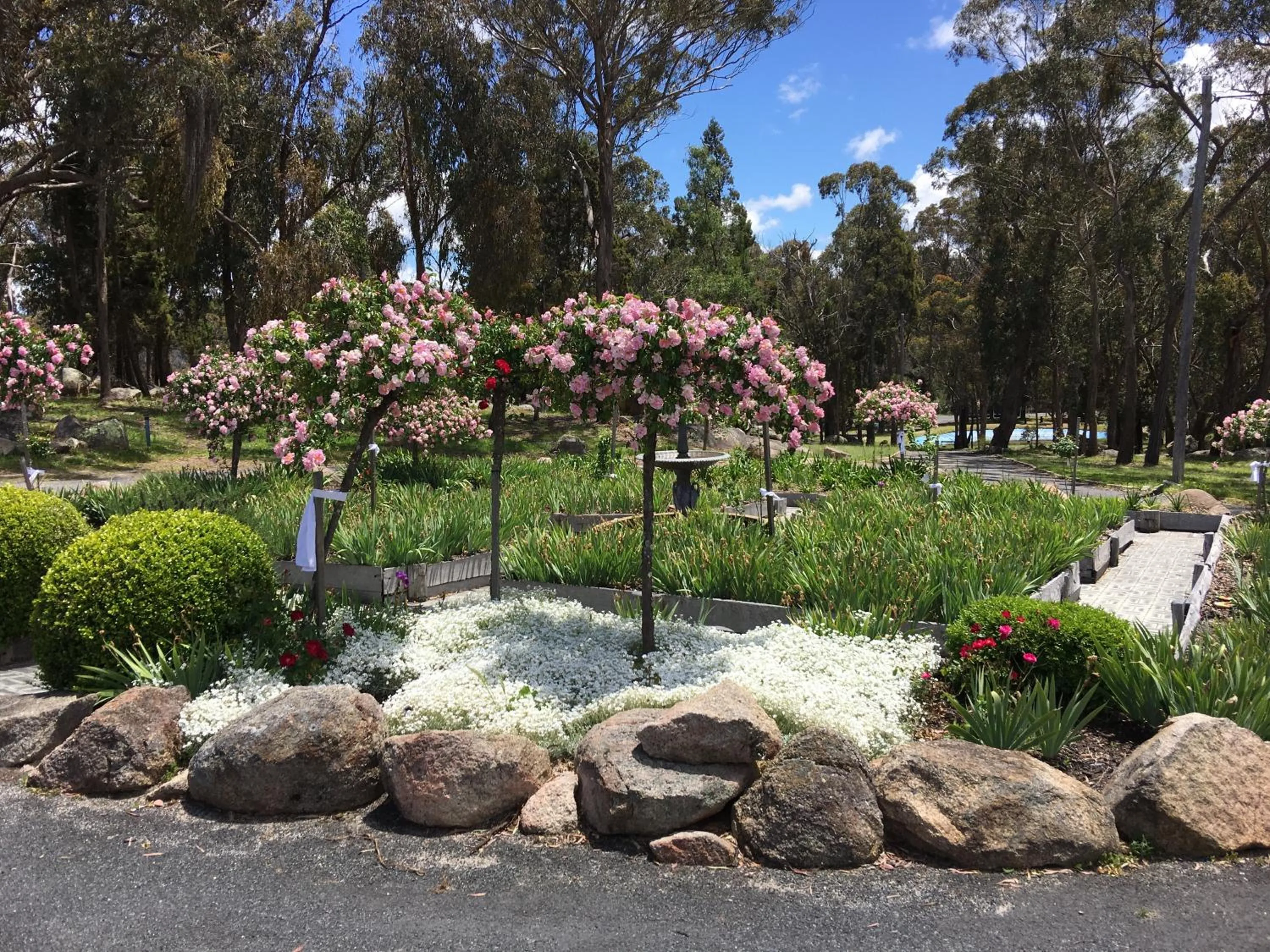 Garden view in Girraween Country Inn