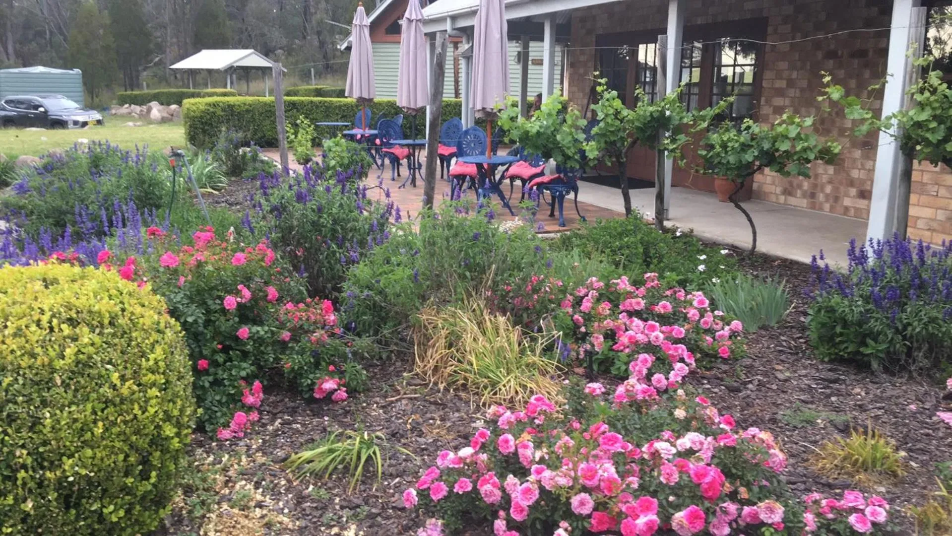 Patio in Girraween Country Inn