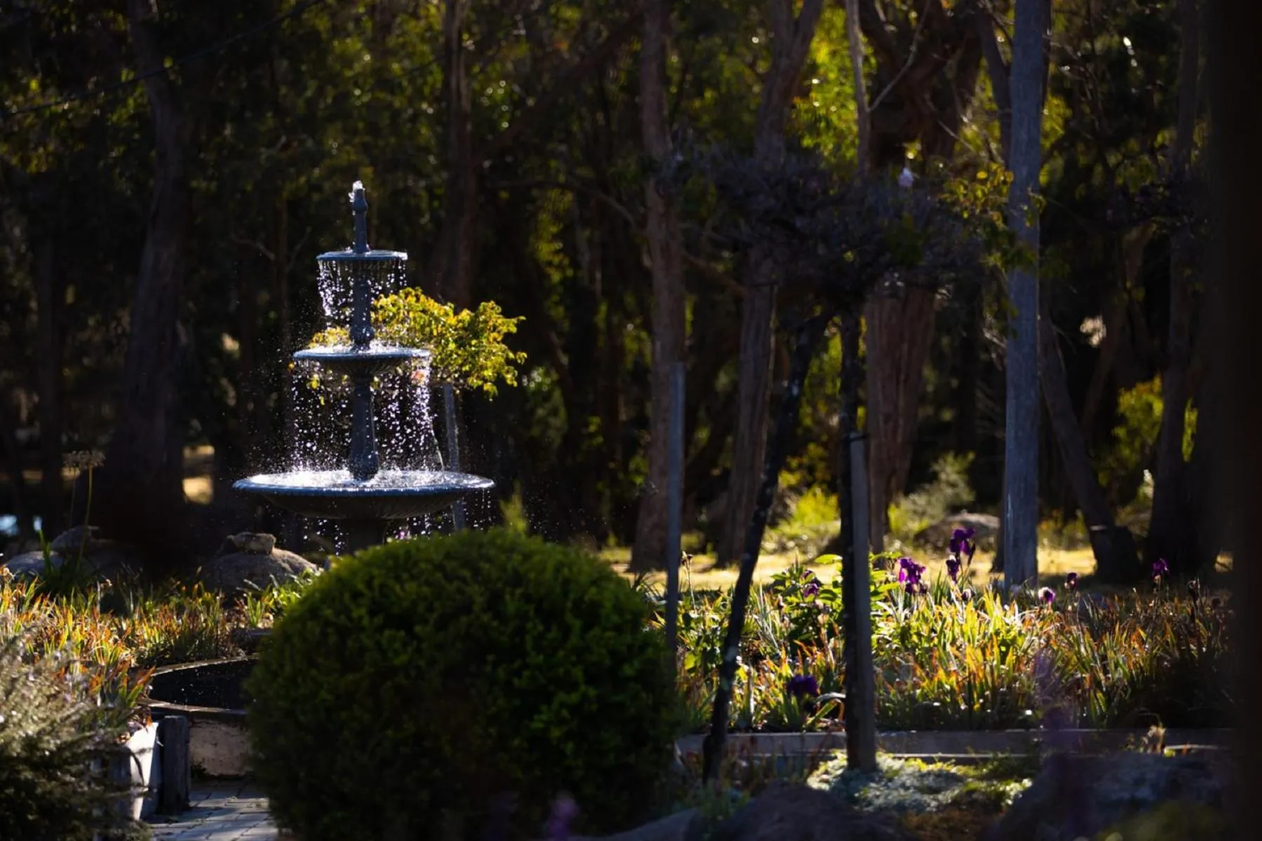 Garden in Girraween Country Inn