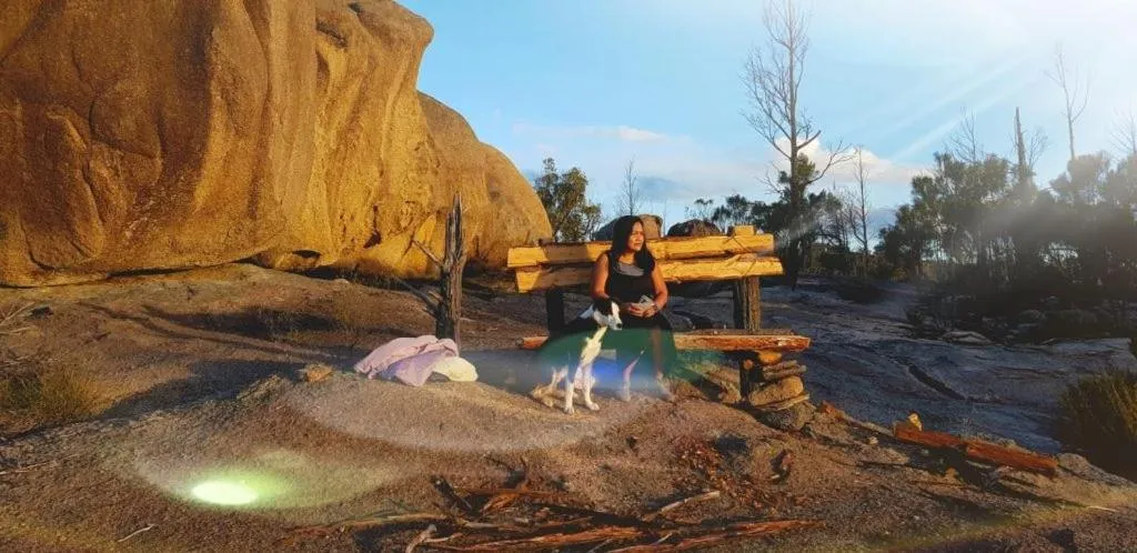 View (from property/room) in Girraween Country Inn