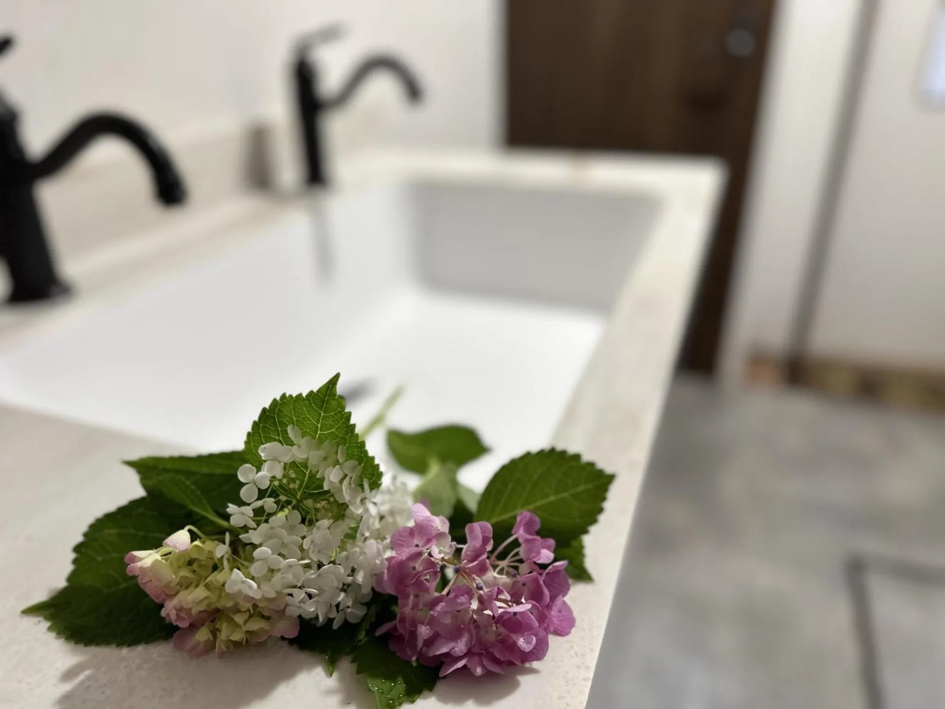 Kitchen or kitchenette in CHELSEA24