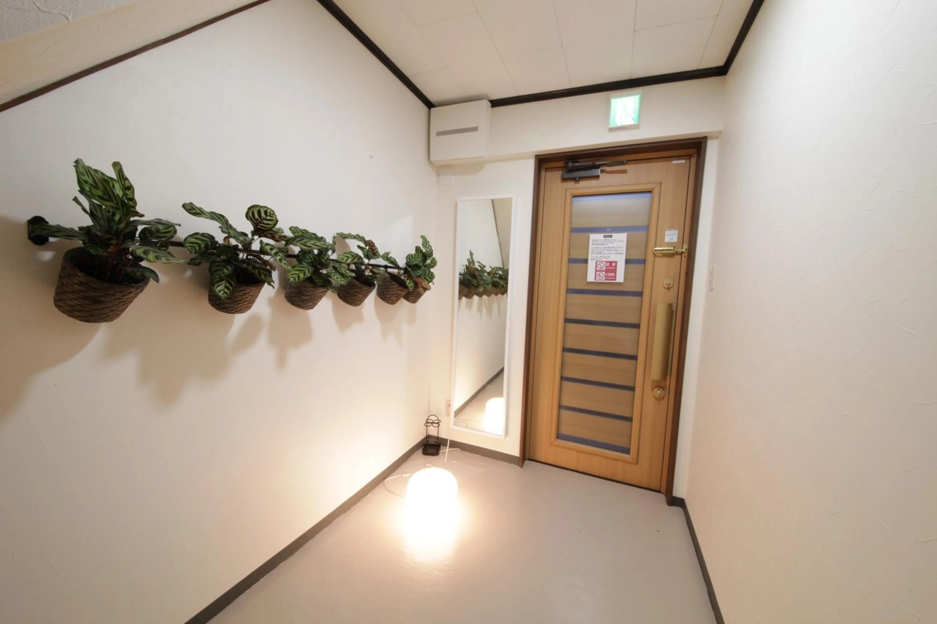 Property building in CHELSEA24