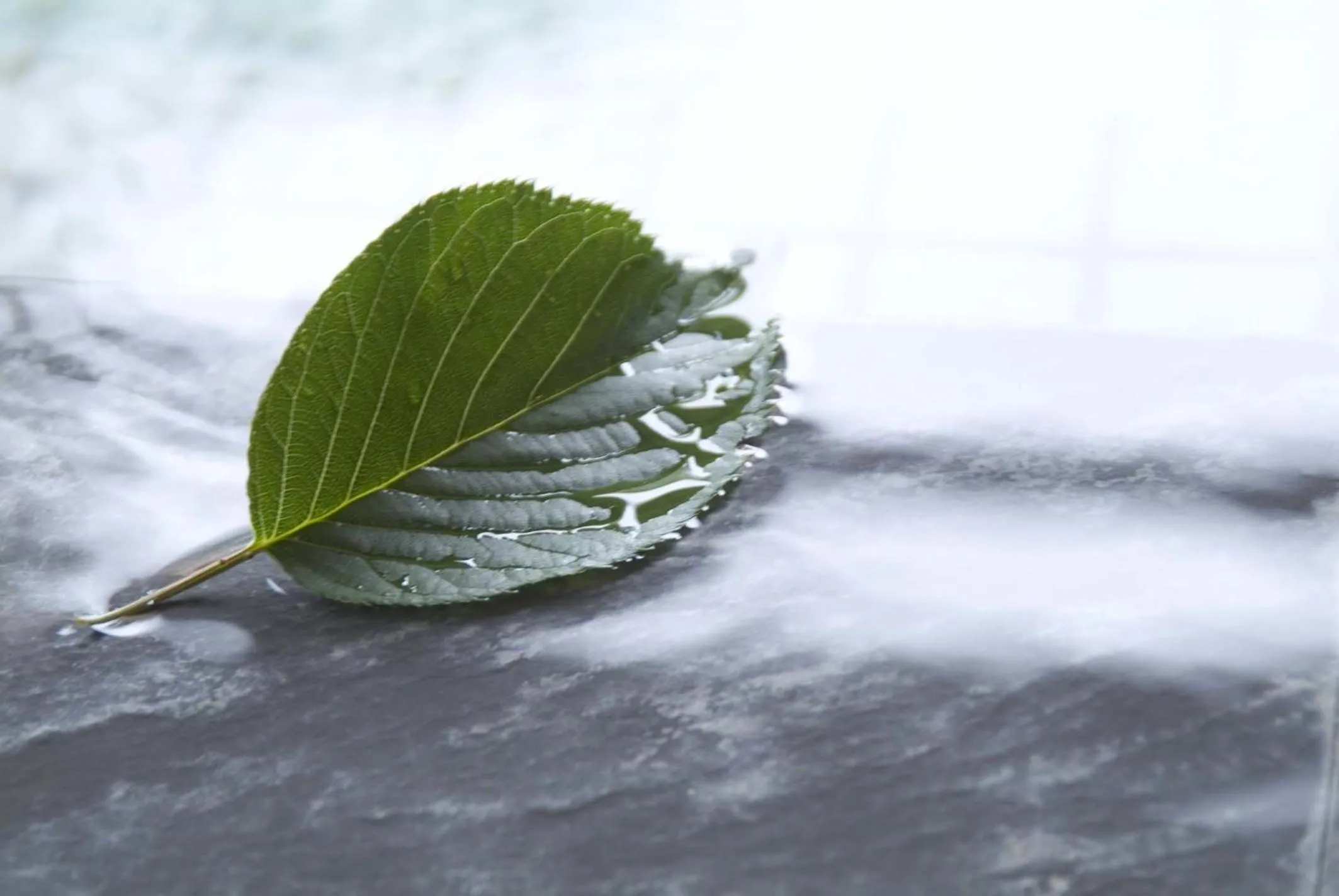 Public Bath in Mashio Hotel & Resort