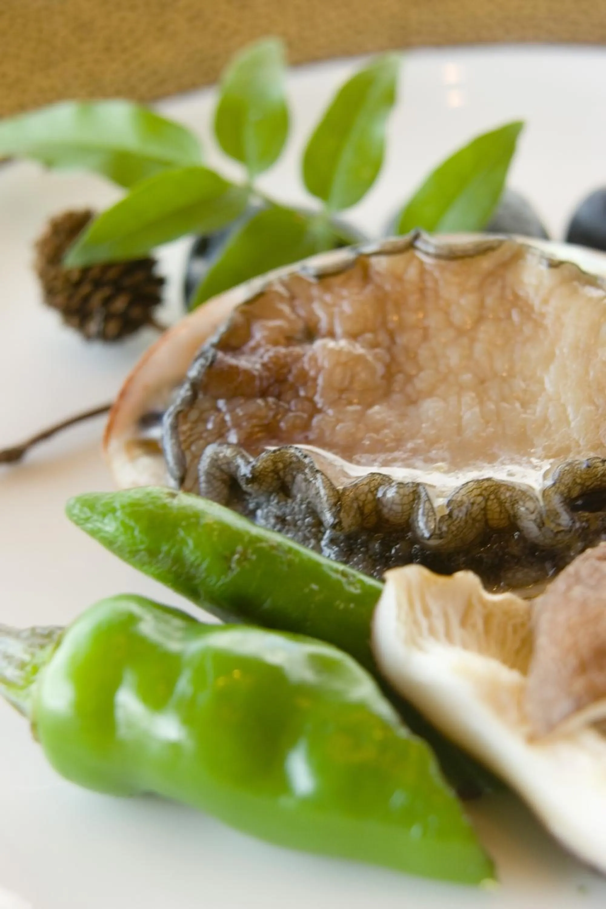 Food close-up in Mashio Hotel & Resort