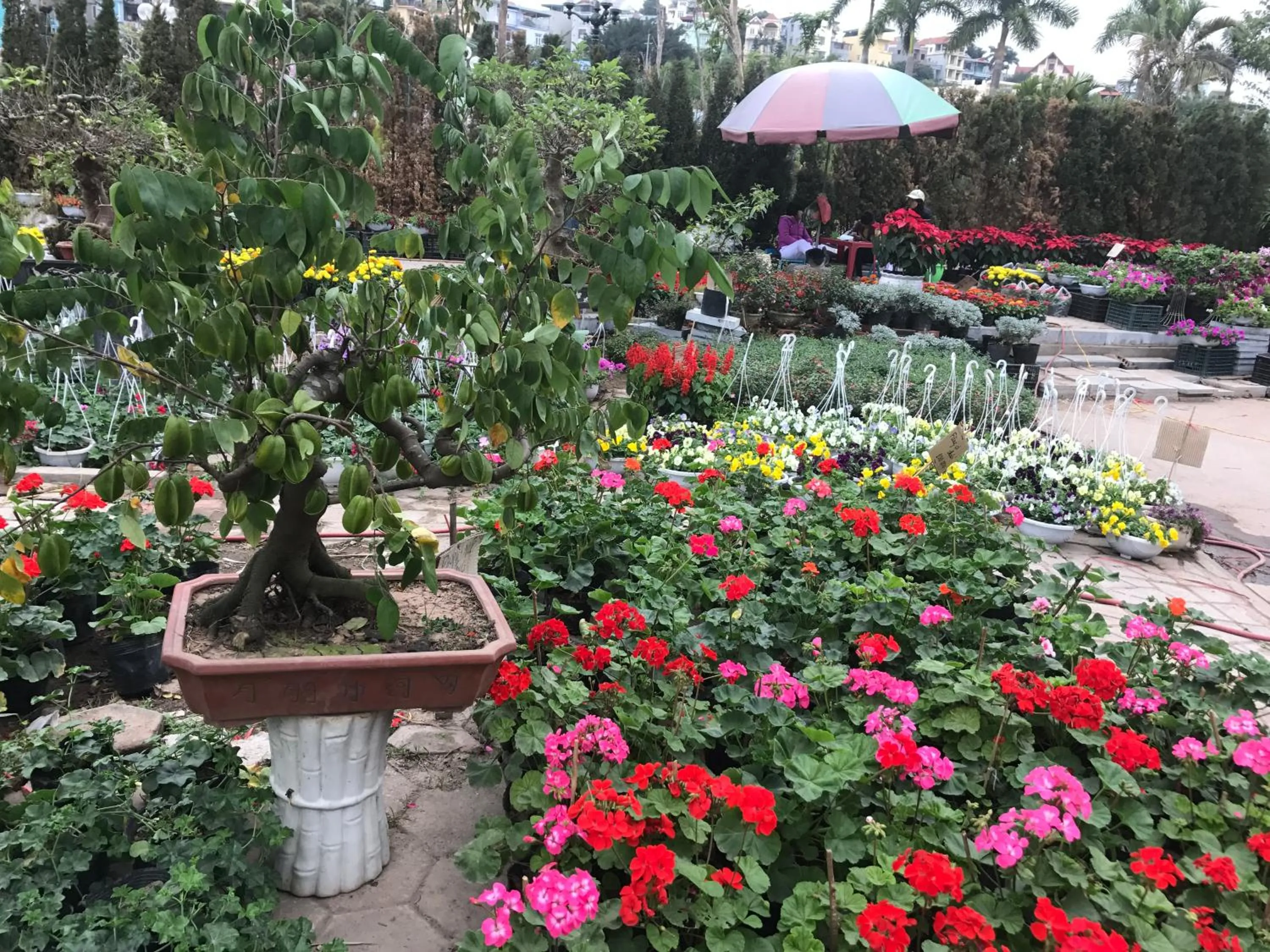 Facade/entrance in Ha Long Park Hotel